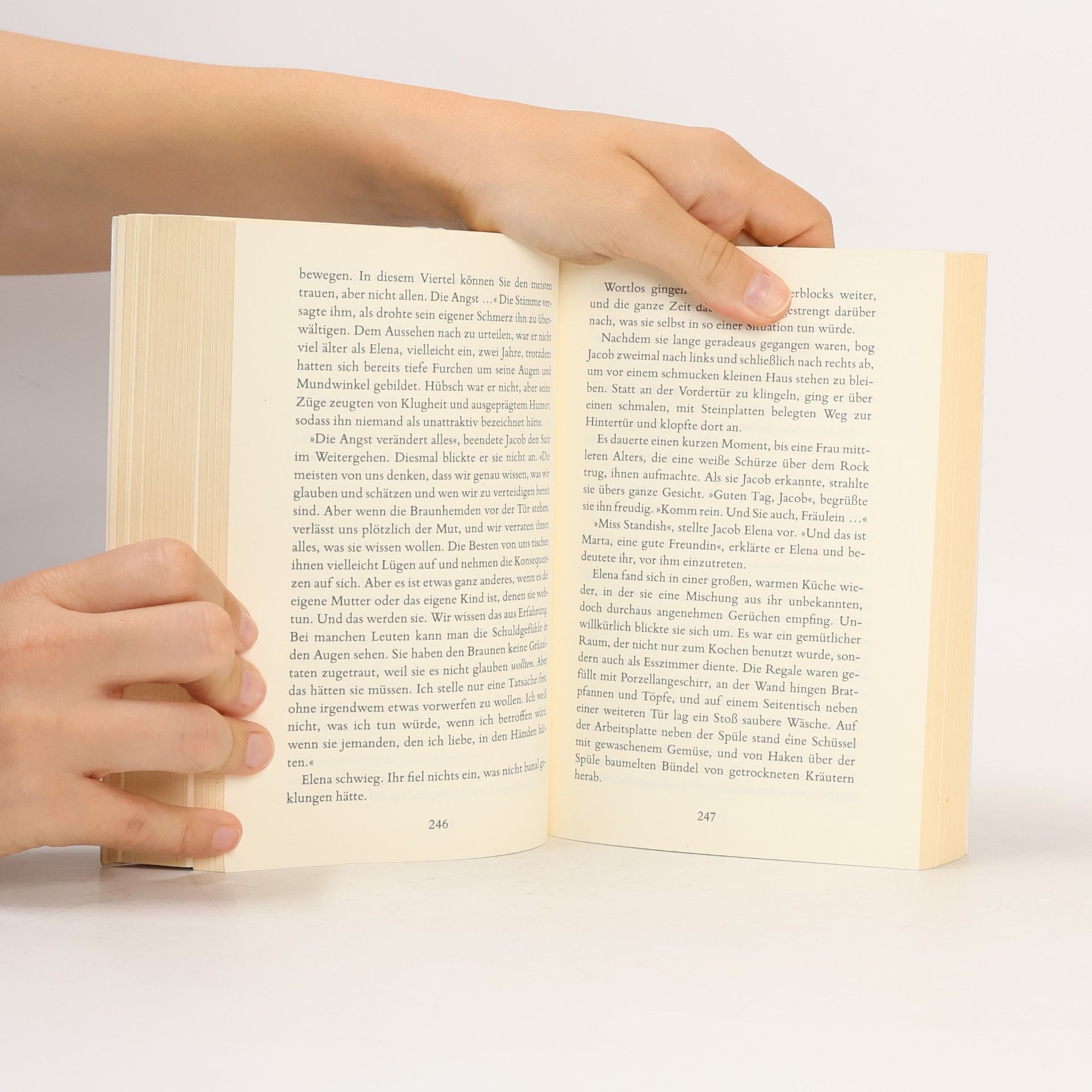 Anne Perry Das Spiel des Verräters