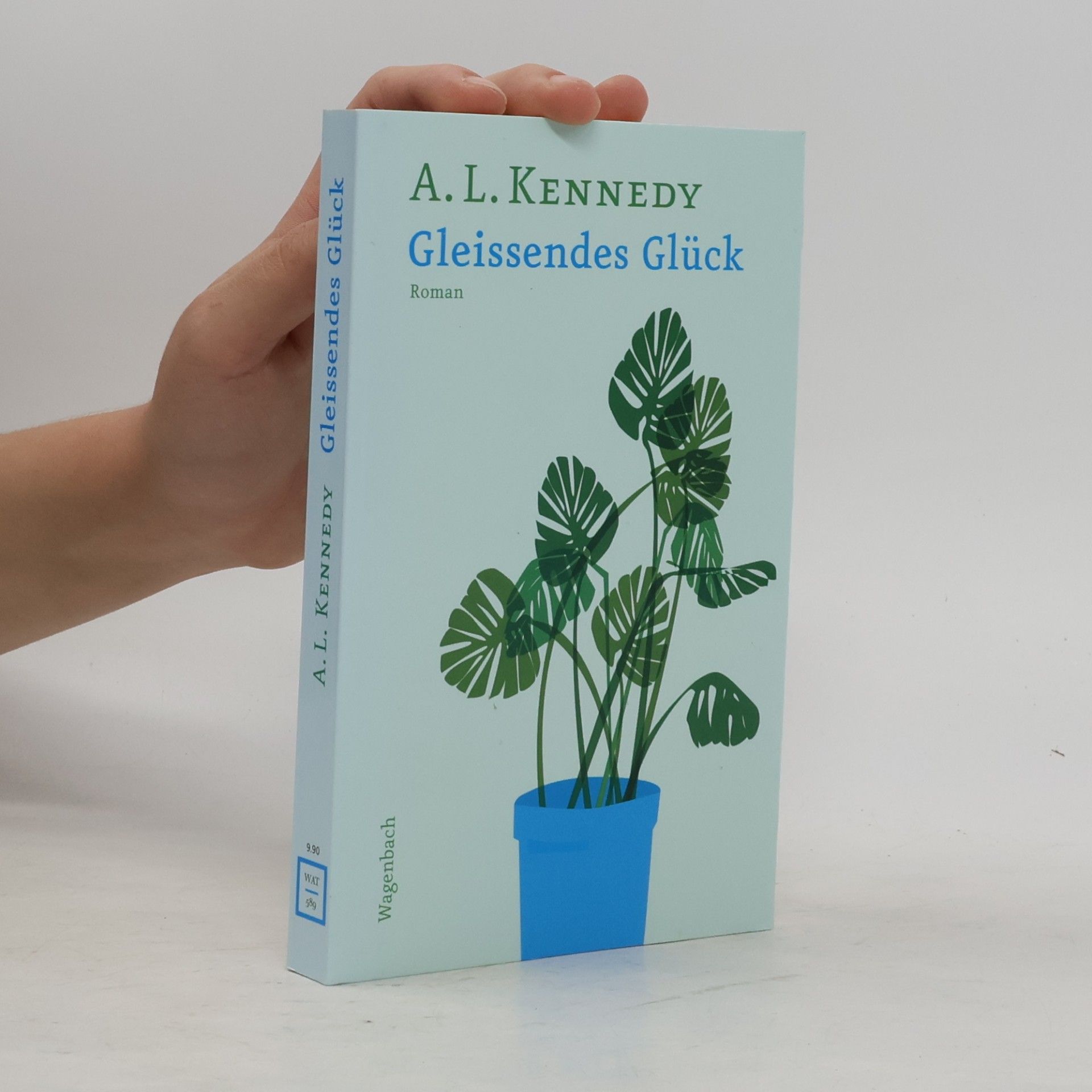 A. L. Kennedy Gleissendes Glück