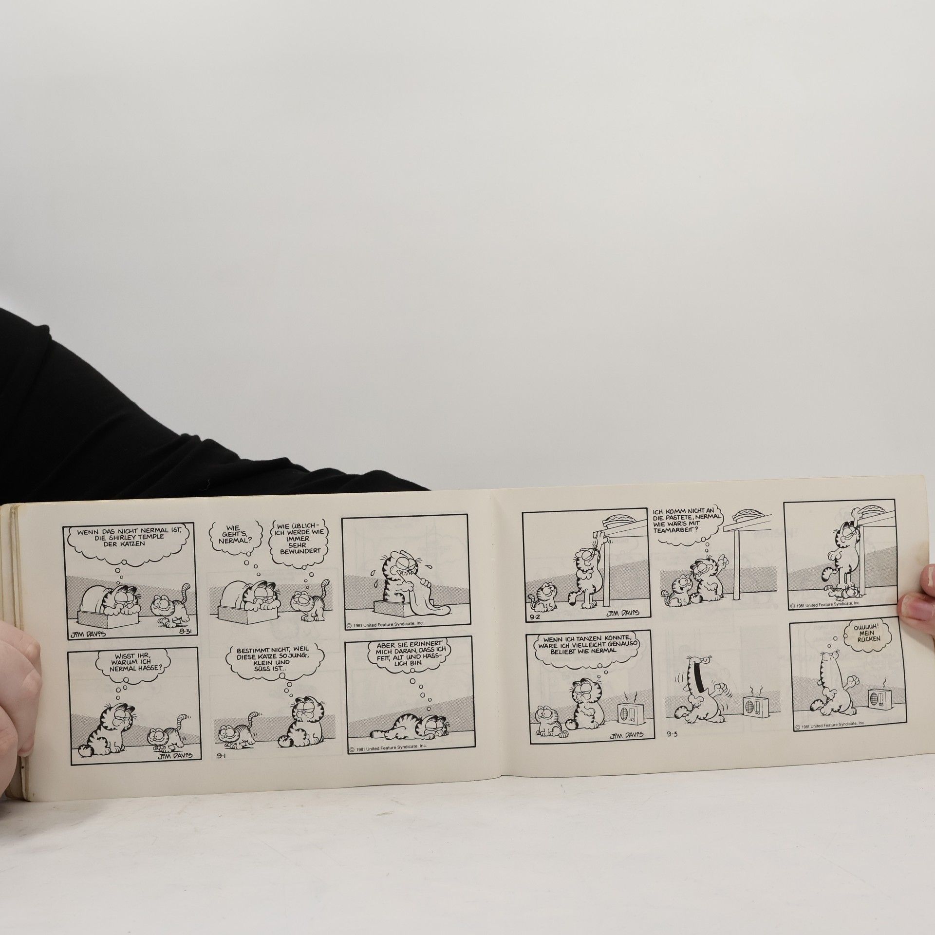 Jim Davis Garfield setzt an