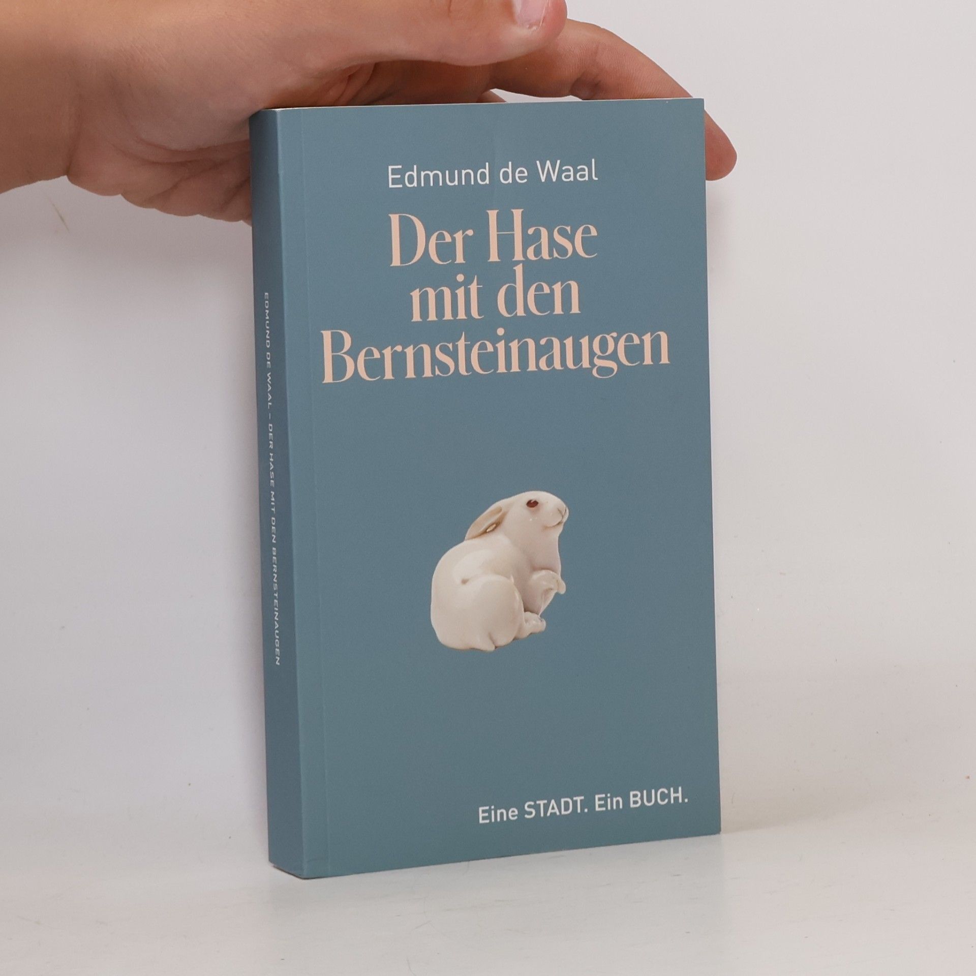 Edmund de Waal Der Hase mit den Bernsteinaugen