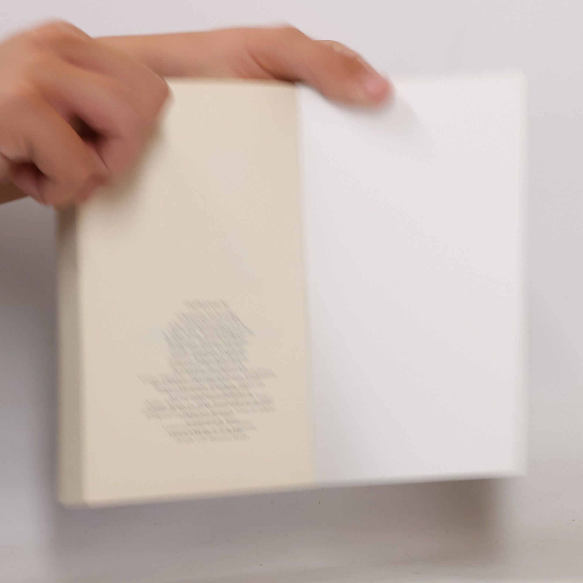 Edmund de Waal Der Hase mit den Bernsteinaugen