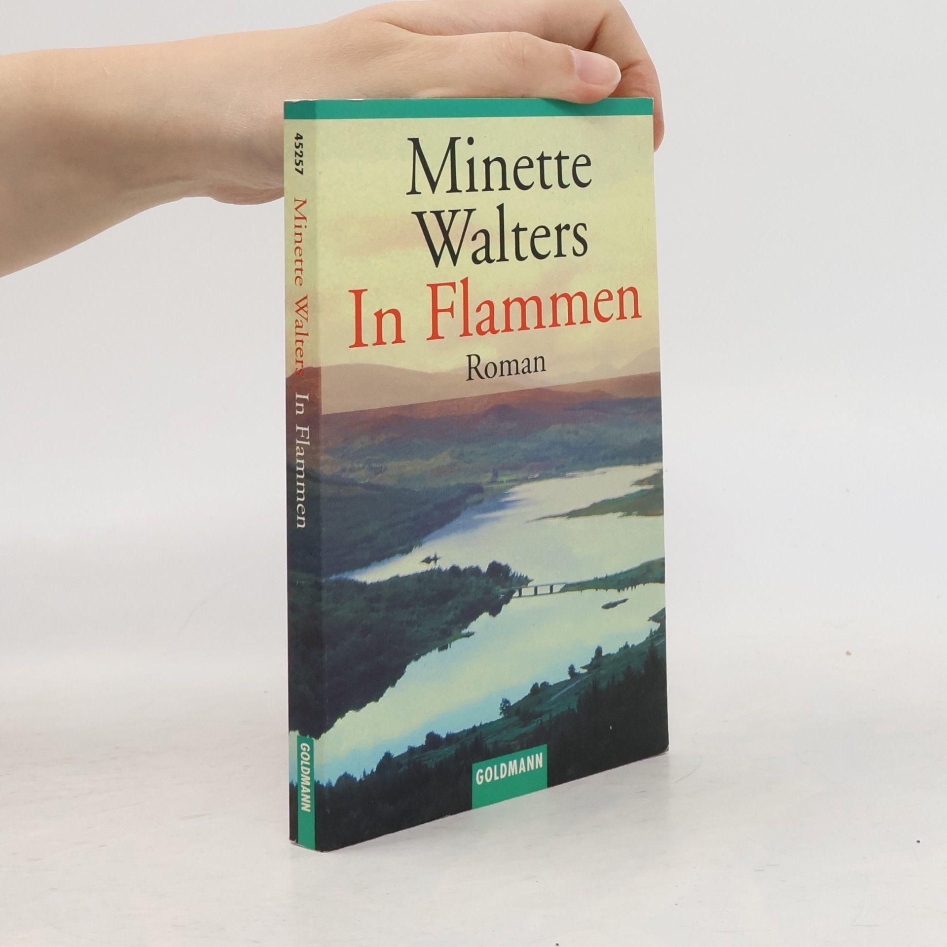 Minette Walter In Flammen