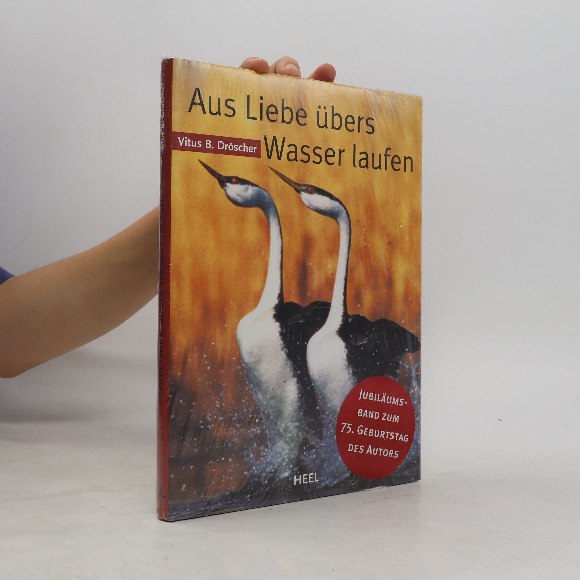 Aus Liebe übers Wasser laufen