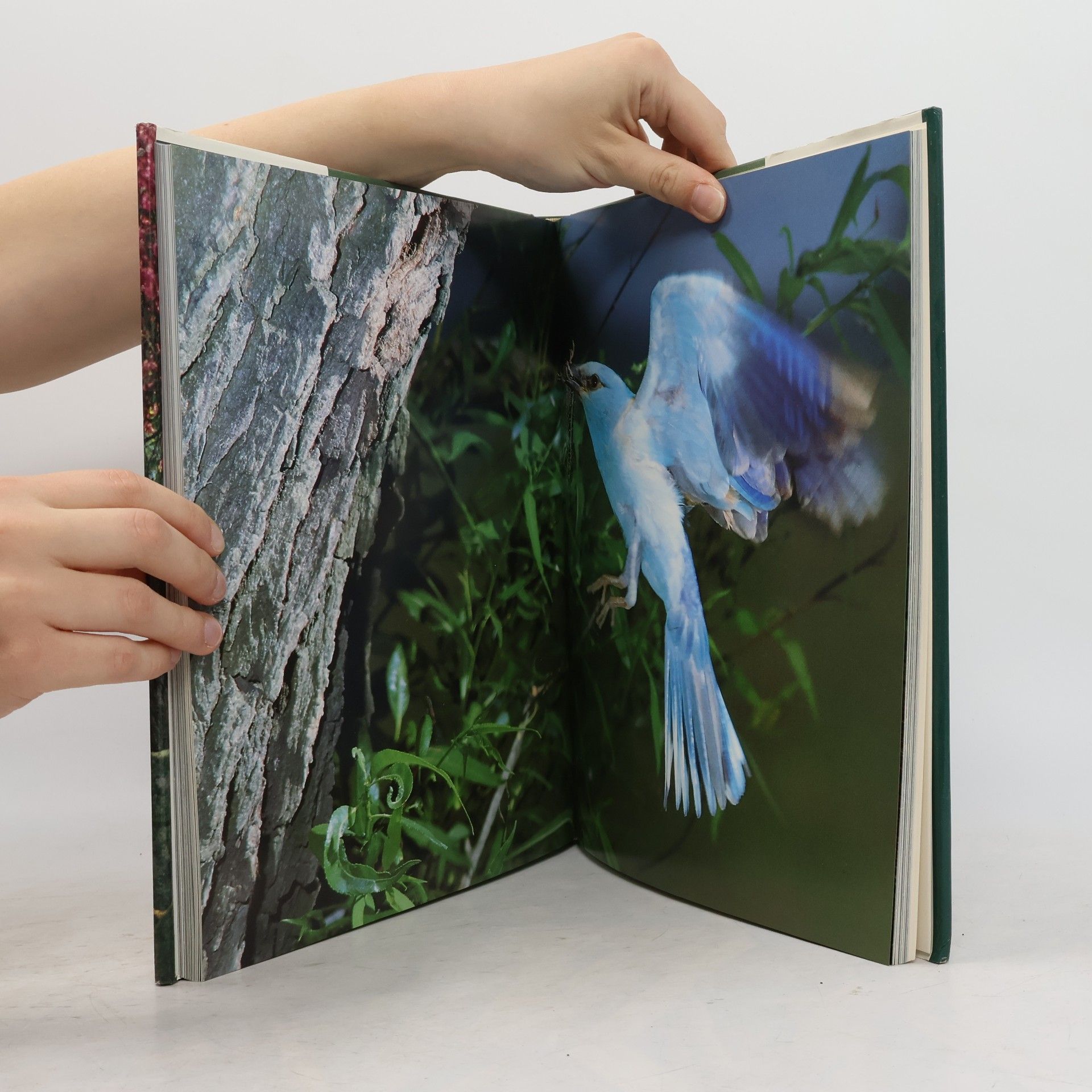Claus-Peter Lieckfeld Naturerbe Europa. Alte Welt - Neue Chancen