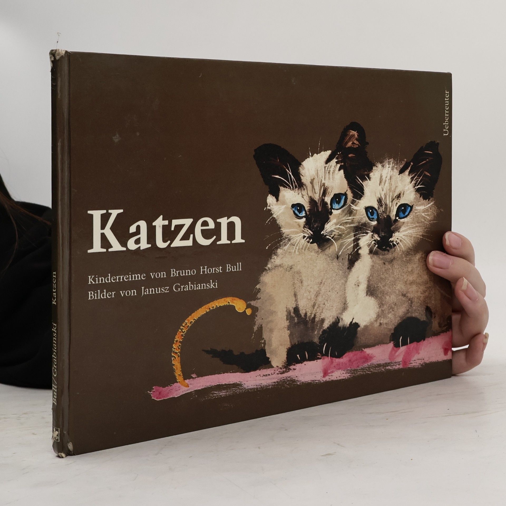 Katzen