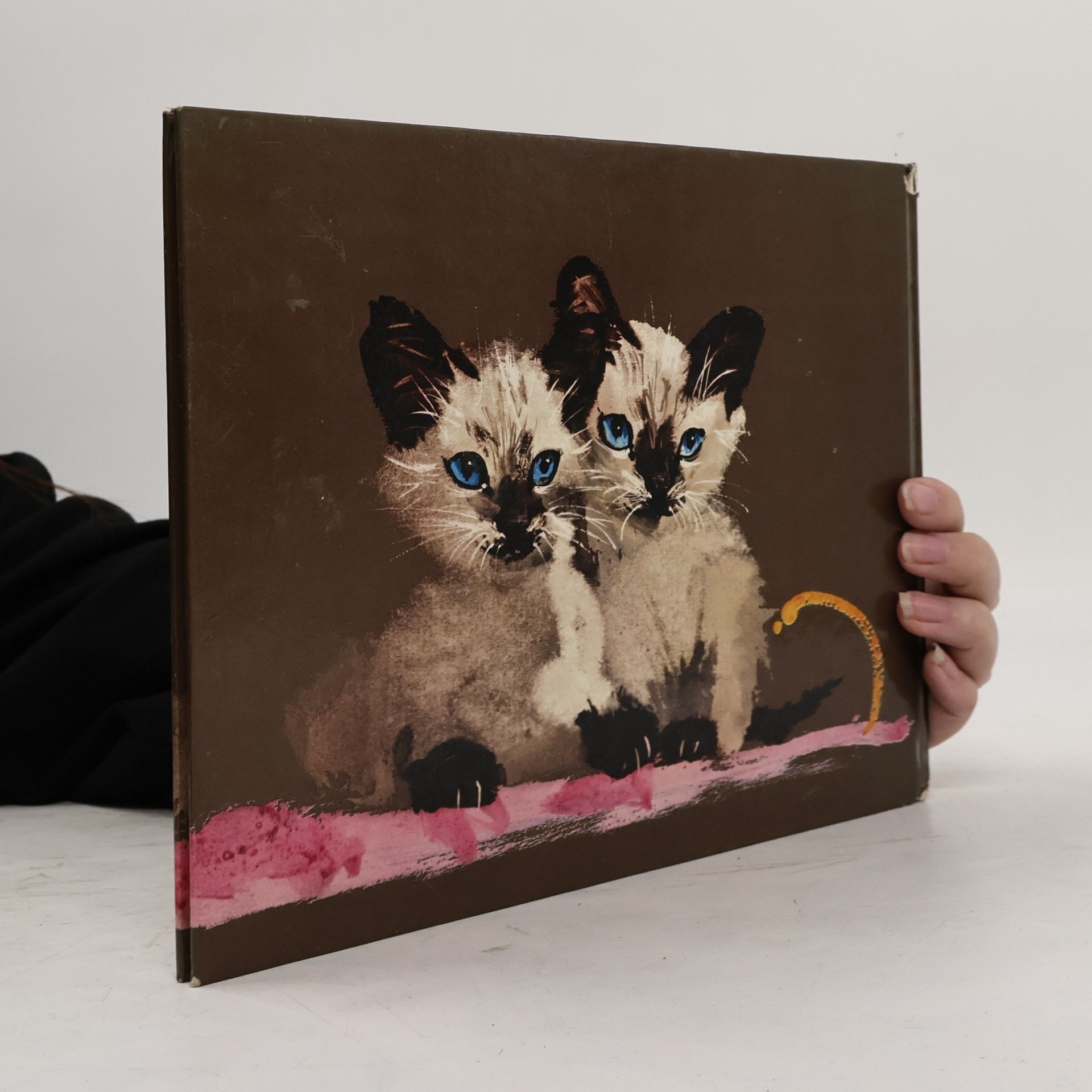 Bruno Horst Bull Katzen