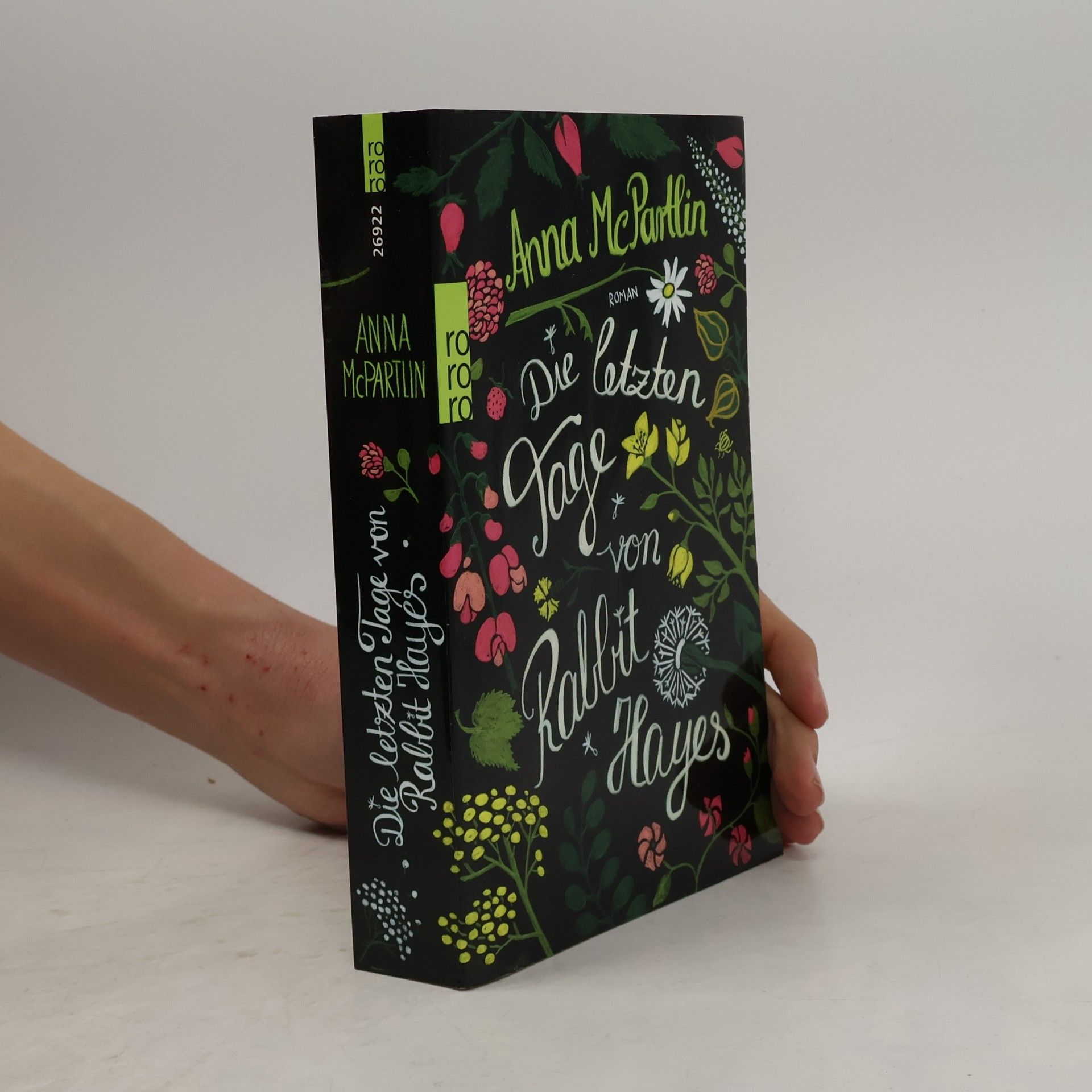 Anna McPartlin Die letzten Tage von Rabbit Hayes