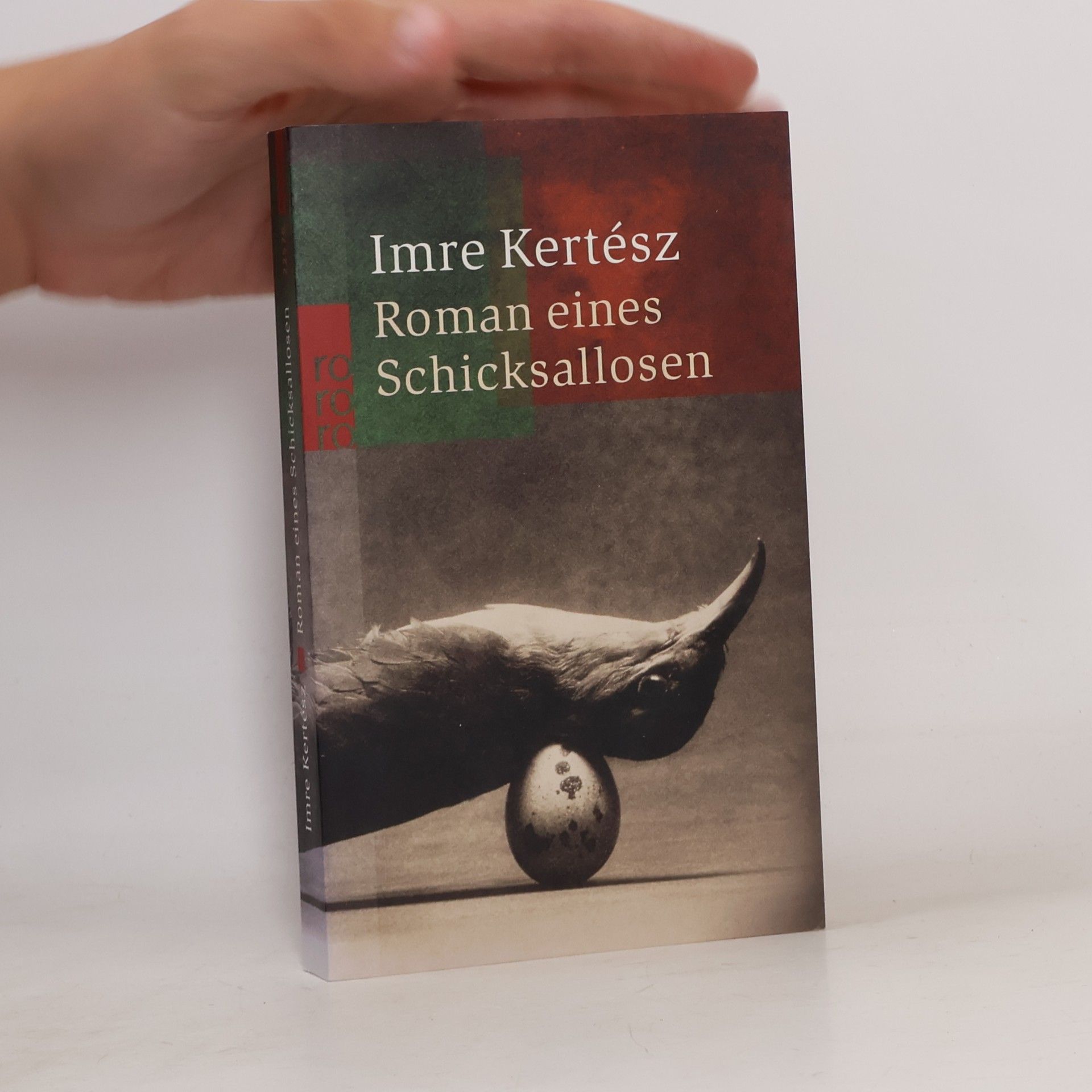 Imre Kertész Roman eines Schicksallosen