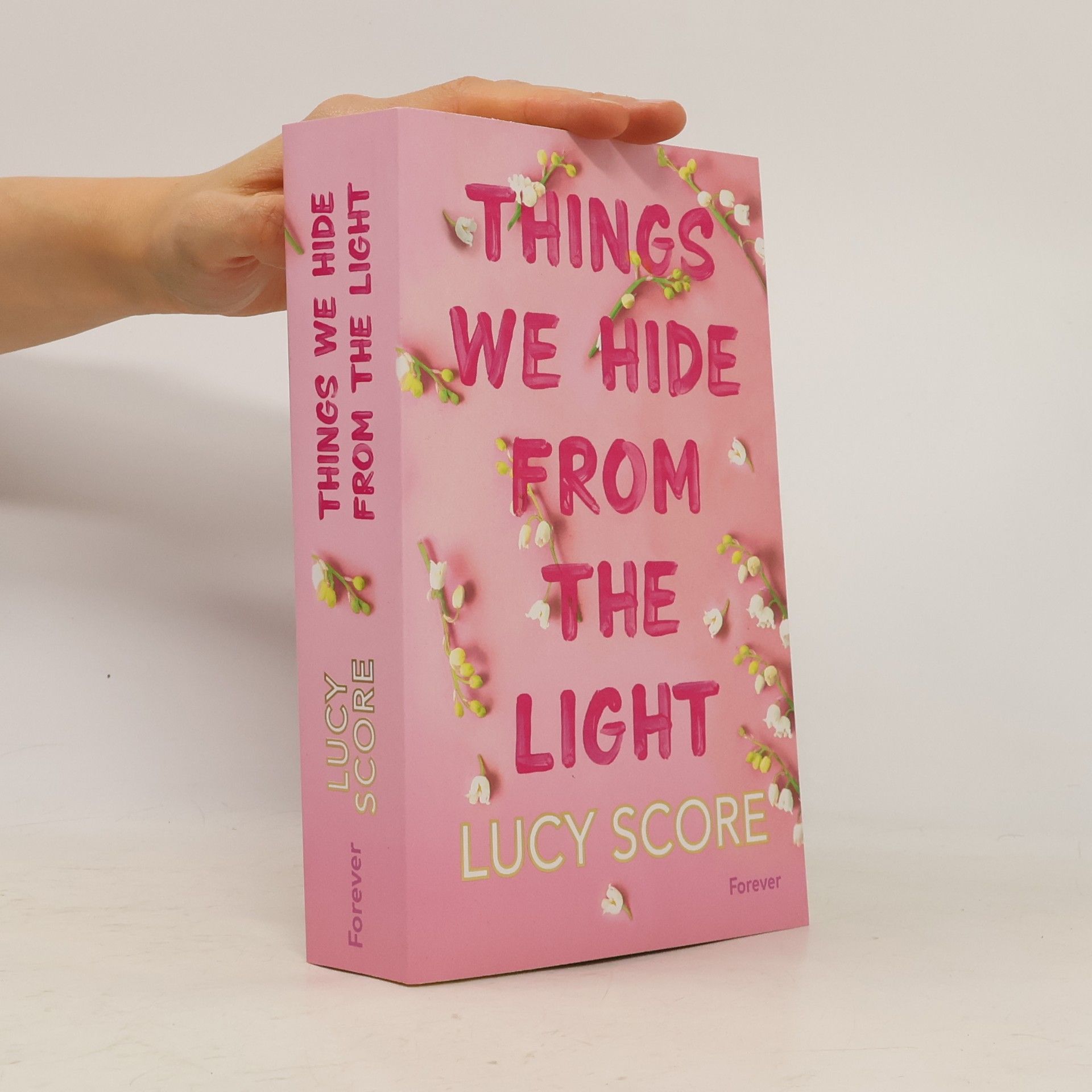 Lucy Score Things We Hide From The Light (Knockemout 2)