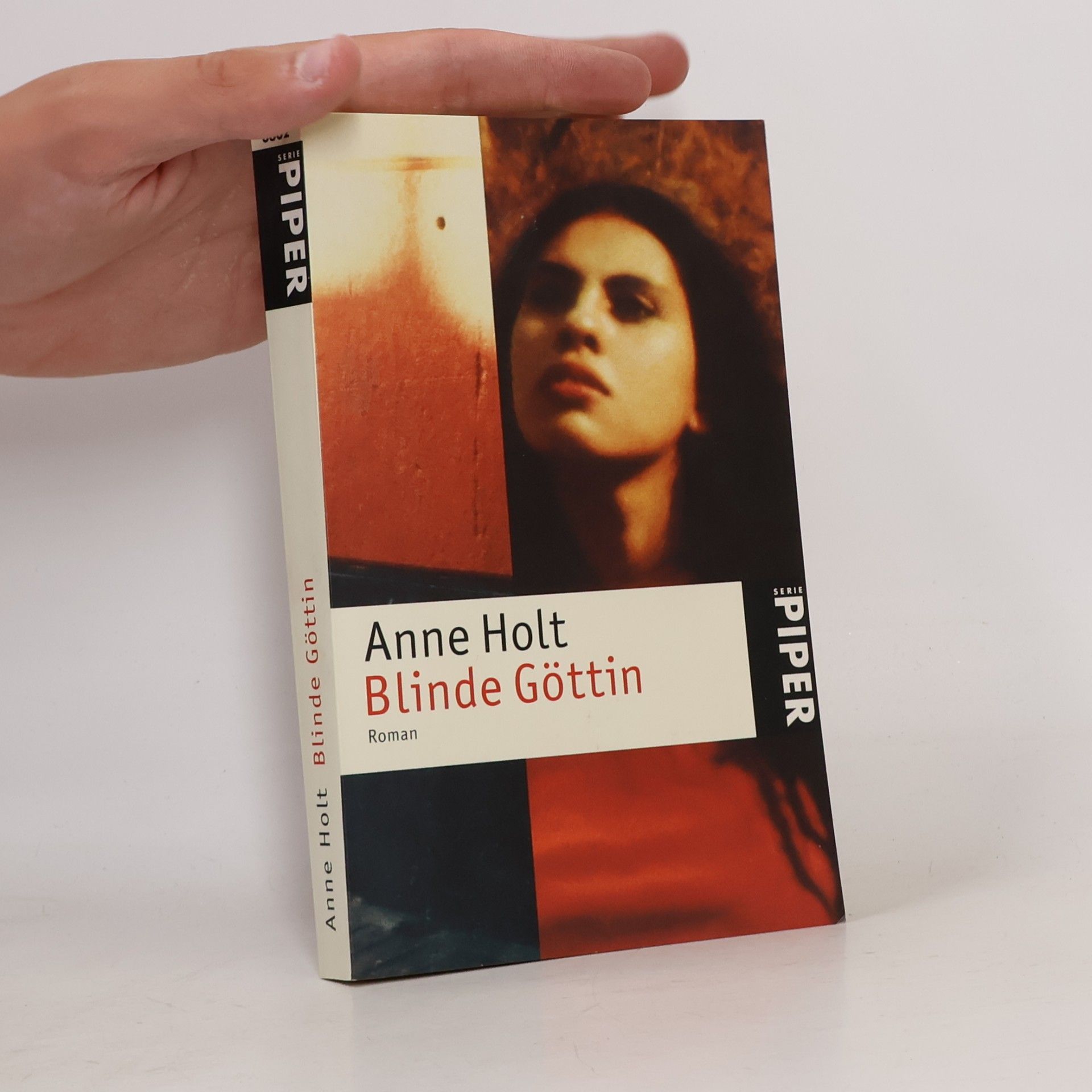 Anne Holt Blinde Göttin