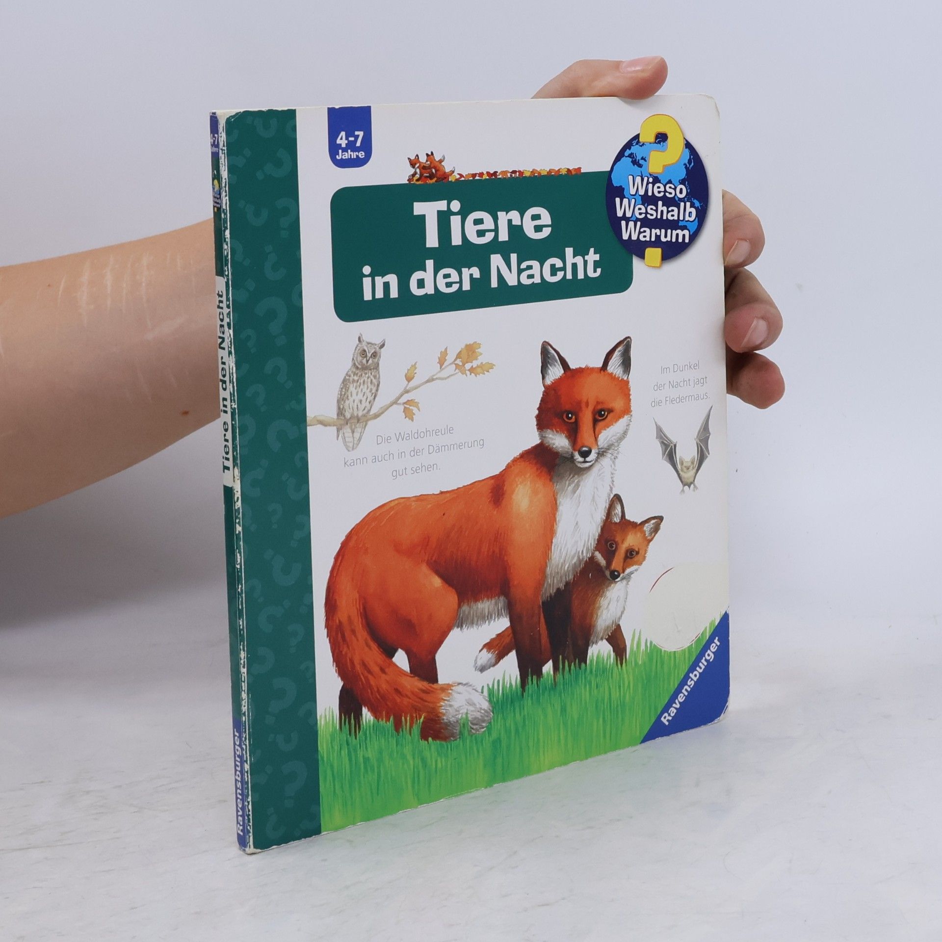 Kolektiv autorů Tiere in der Nacht
