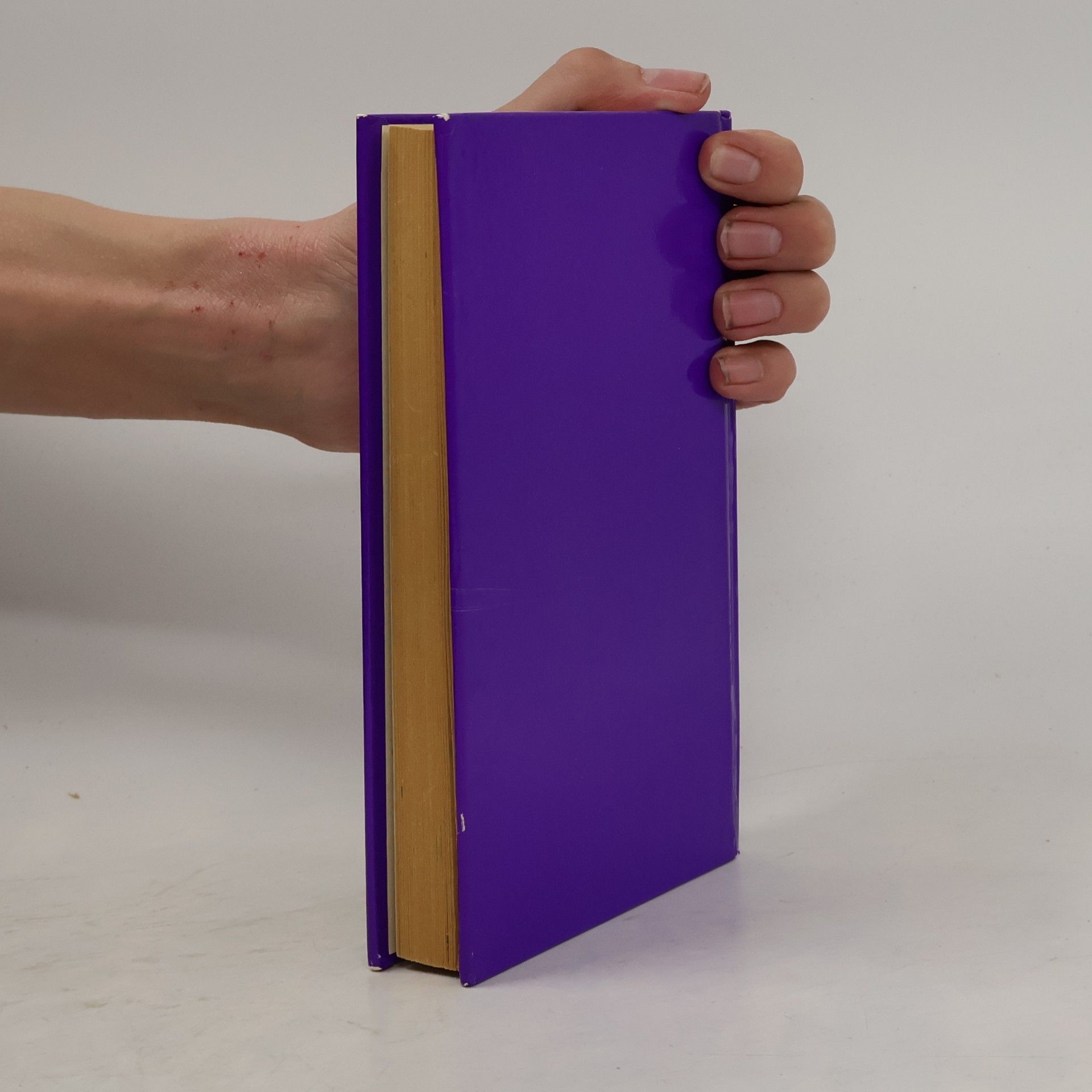 Gottfried August Bürger Münchhausen der Lügenbaron