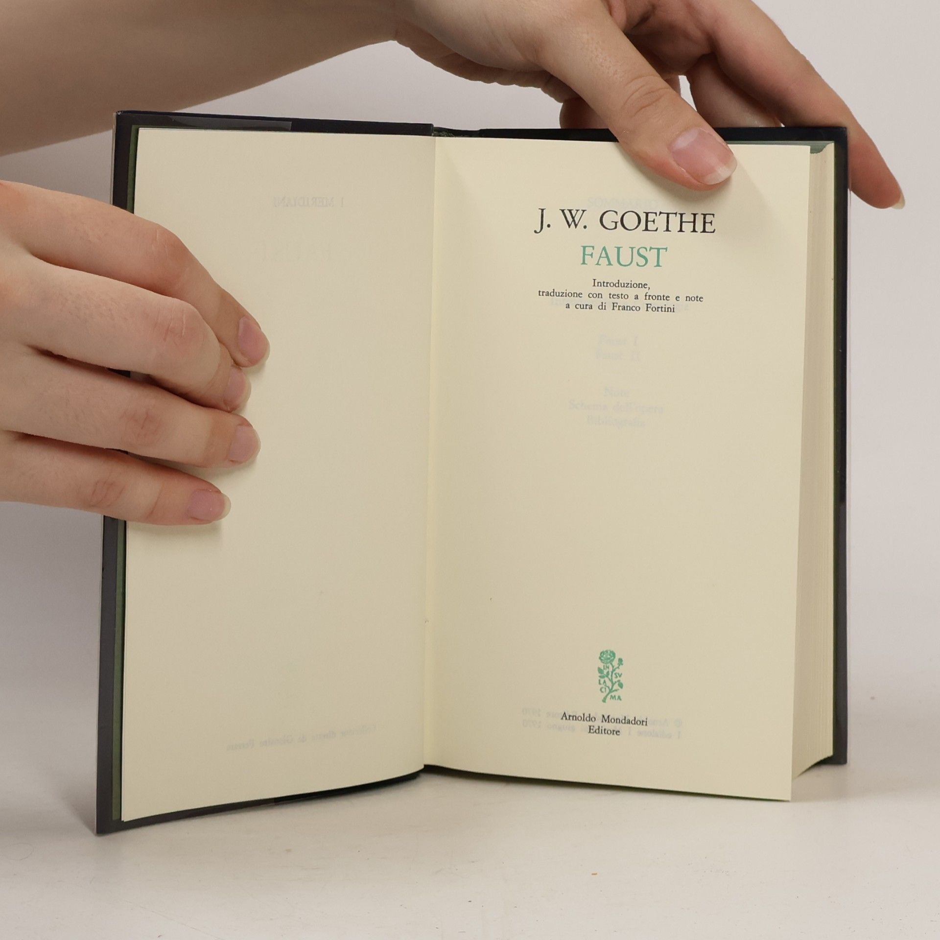 Johann Wolfgang von Goethe Faust
