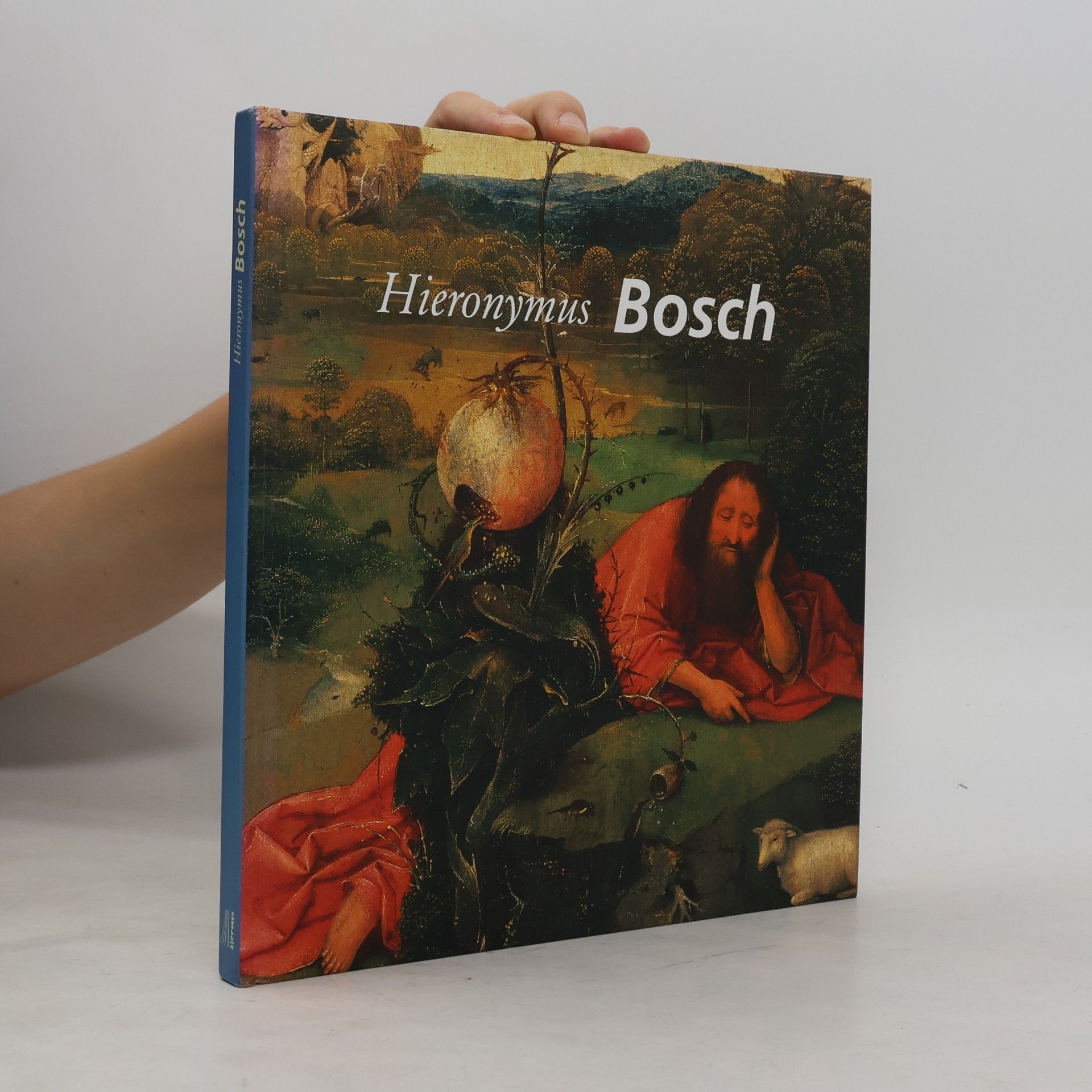 Autores varios Hieronymus Bosch