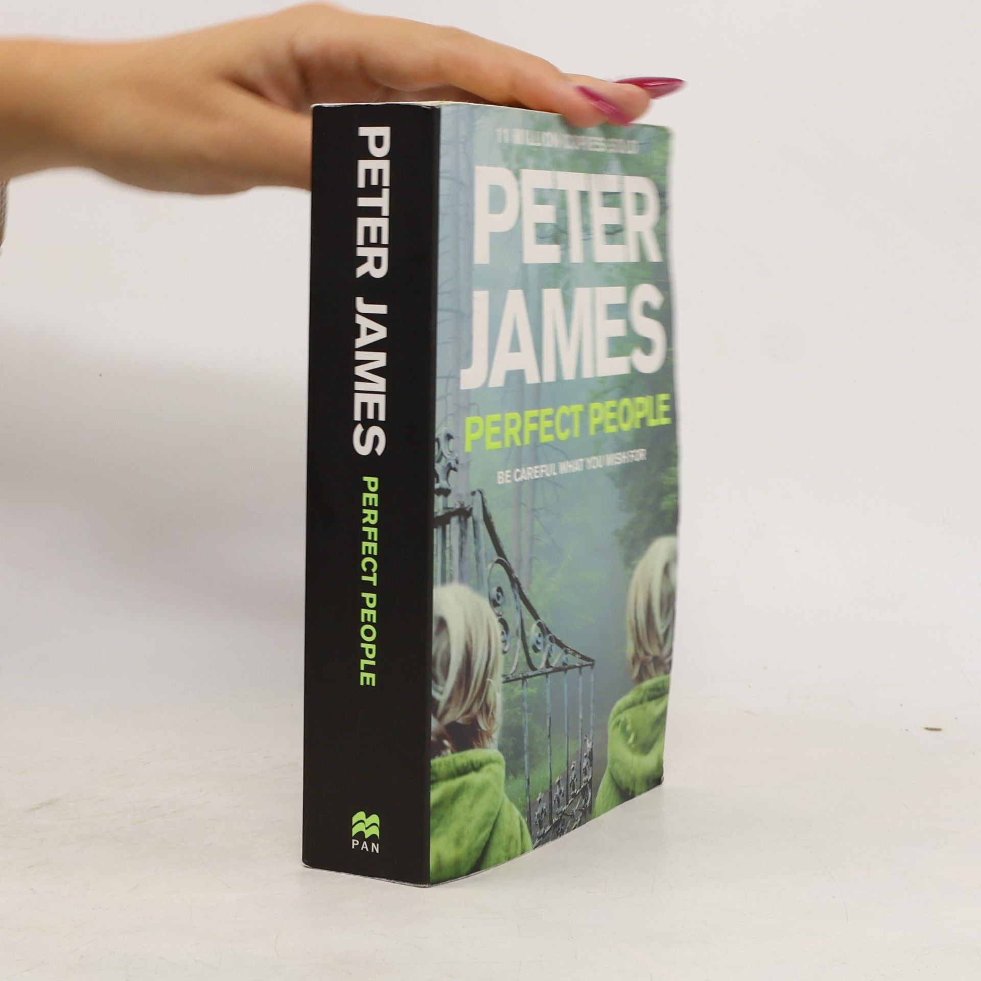 Peter James Perfect people