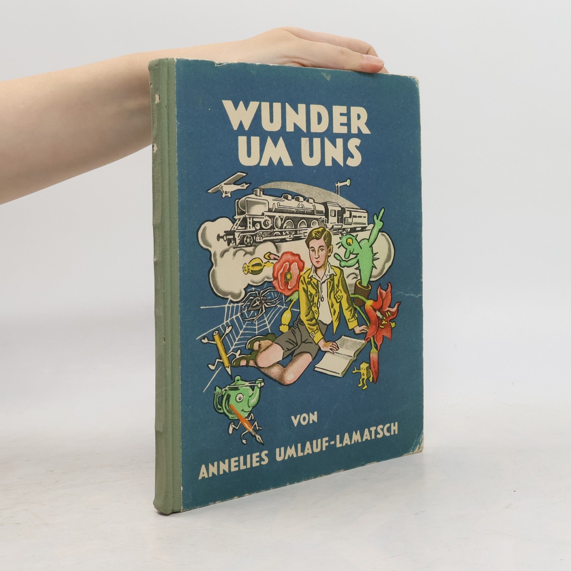 Wunder Um Uns
