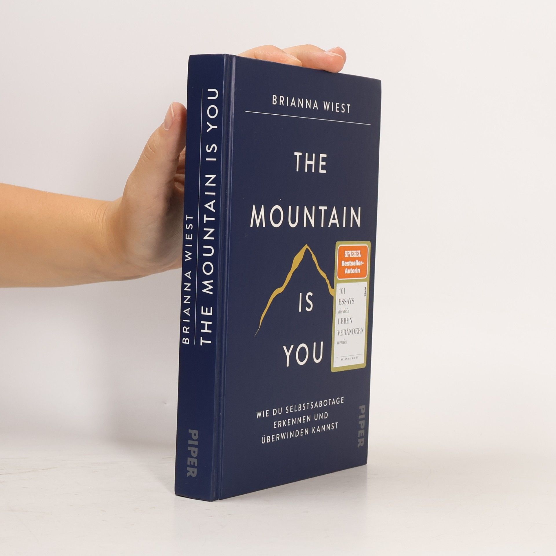 Brianna Wiest The Mountain Is You
