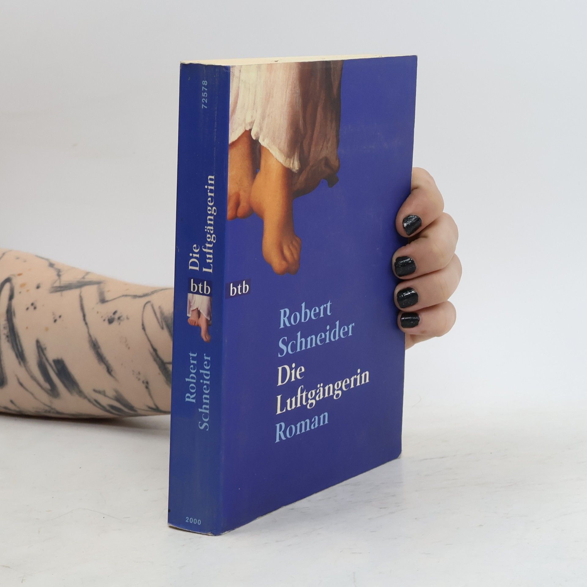 Robert Schneider Die Luftgängerin