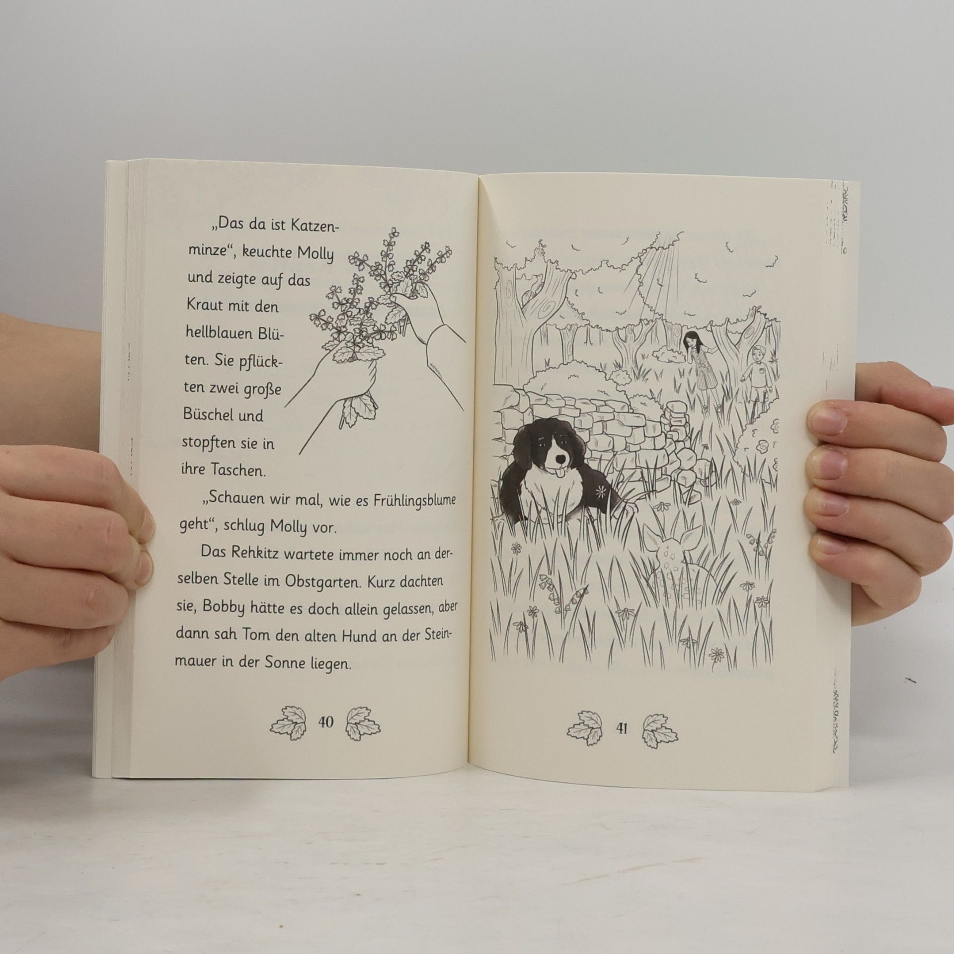 Josh S. Betts Abenteuer im Wunderwald - Das kleine Reh und der Drache