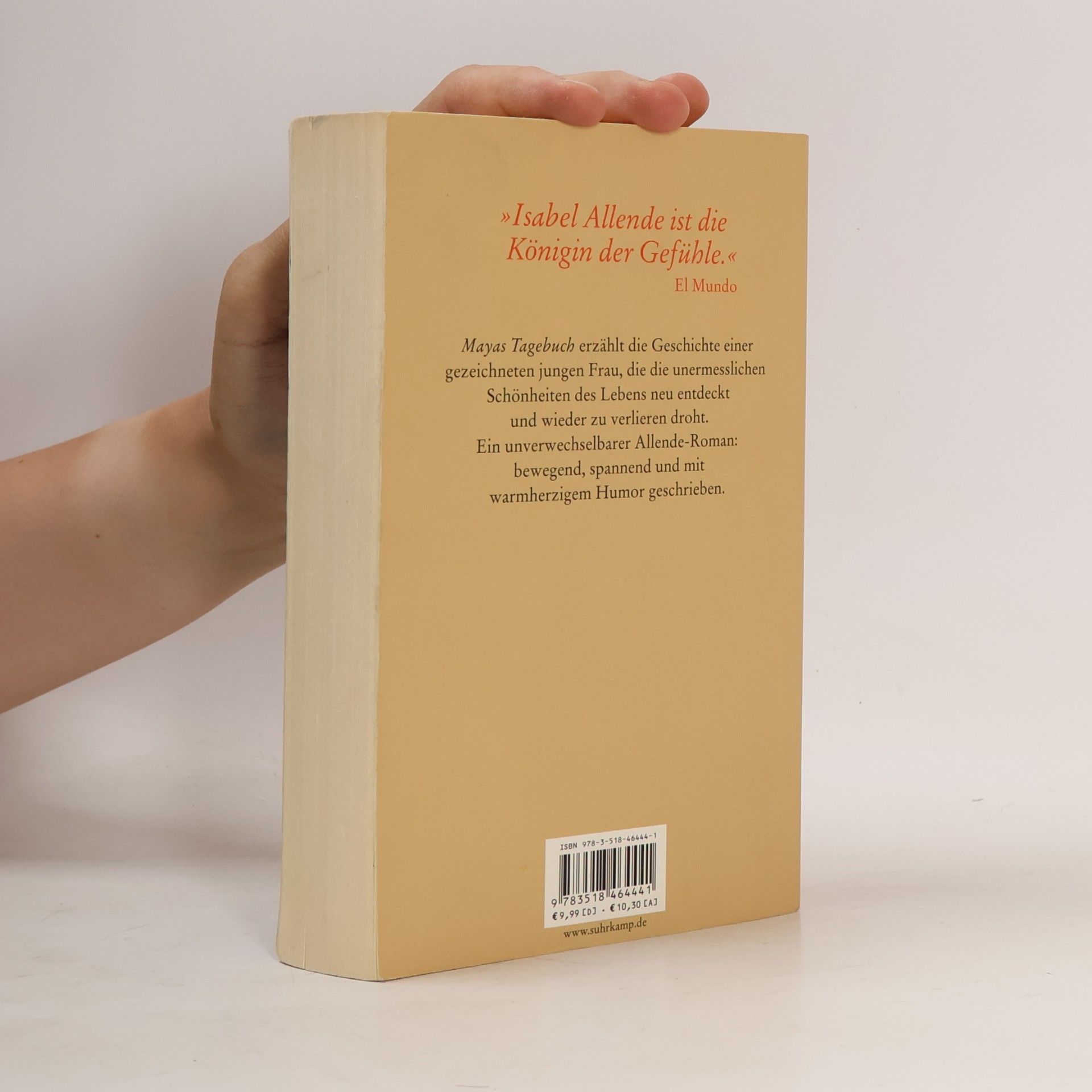 Isabel Allende Mayas Tagebuch