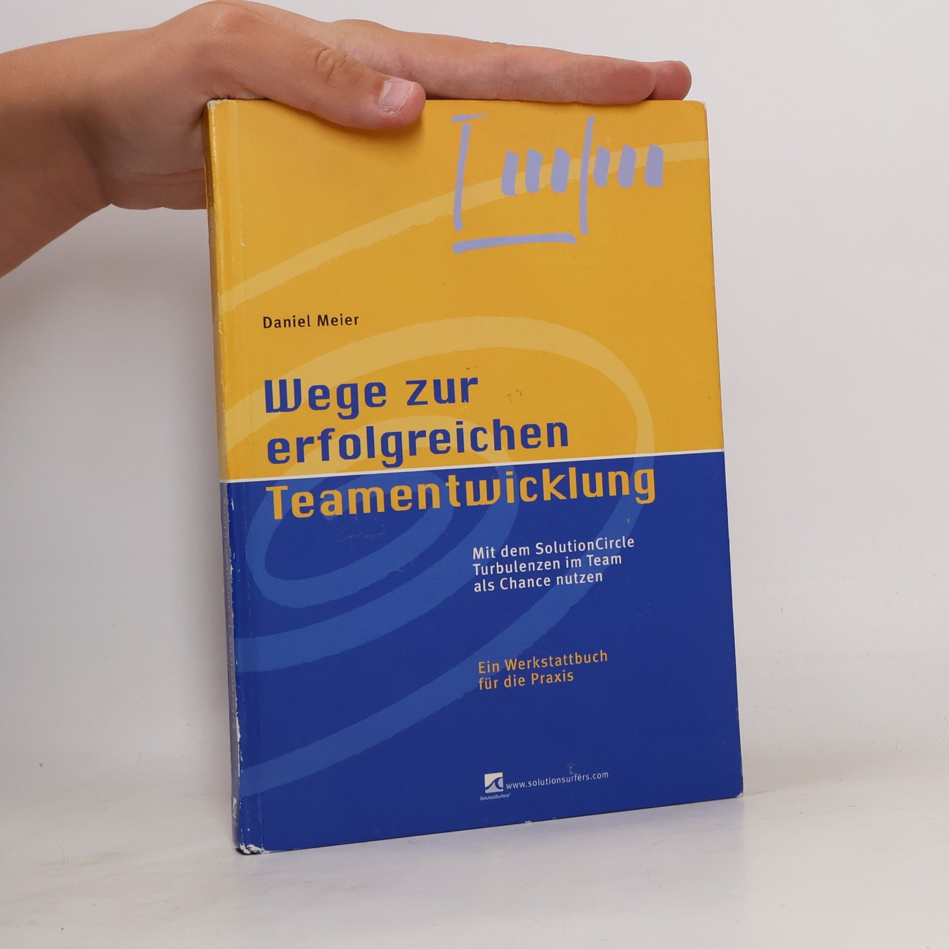 Daniel Meier Wege zur erfolgreichen Teamentwicklung
