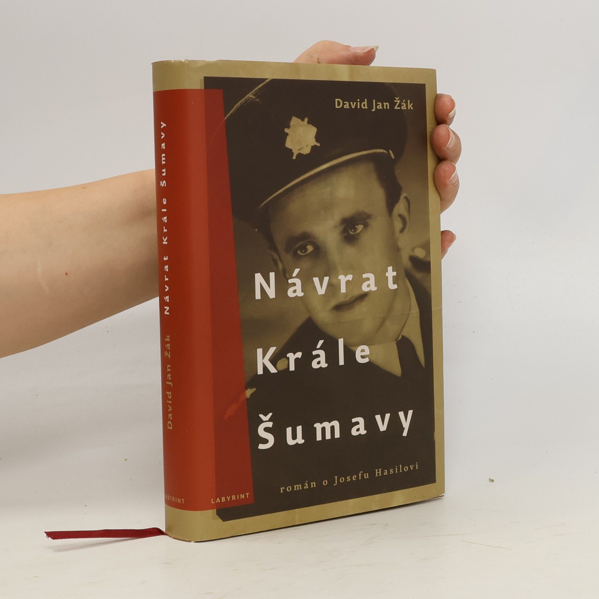 David Jan Žák Návrat Krále Šumavy