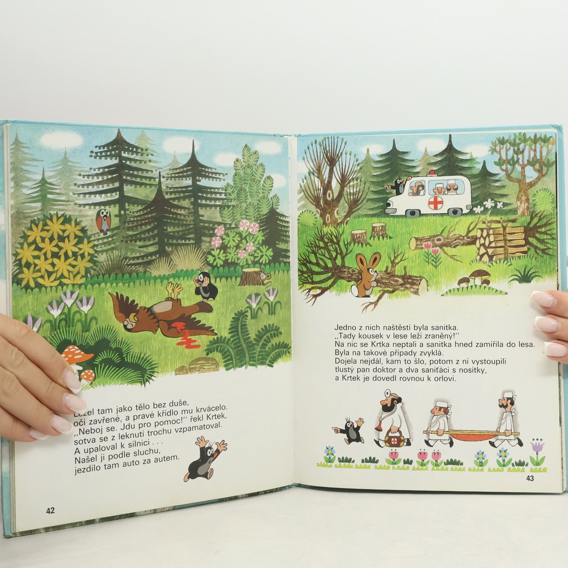 Hana Doskočilová Krtek a orel