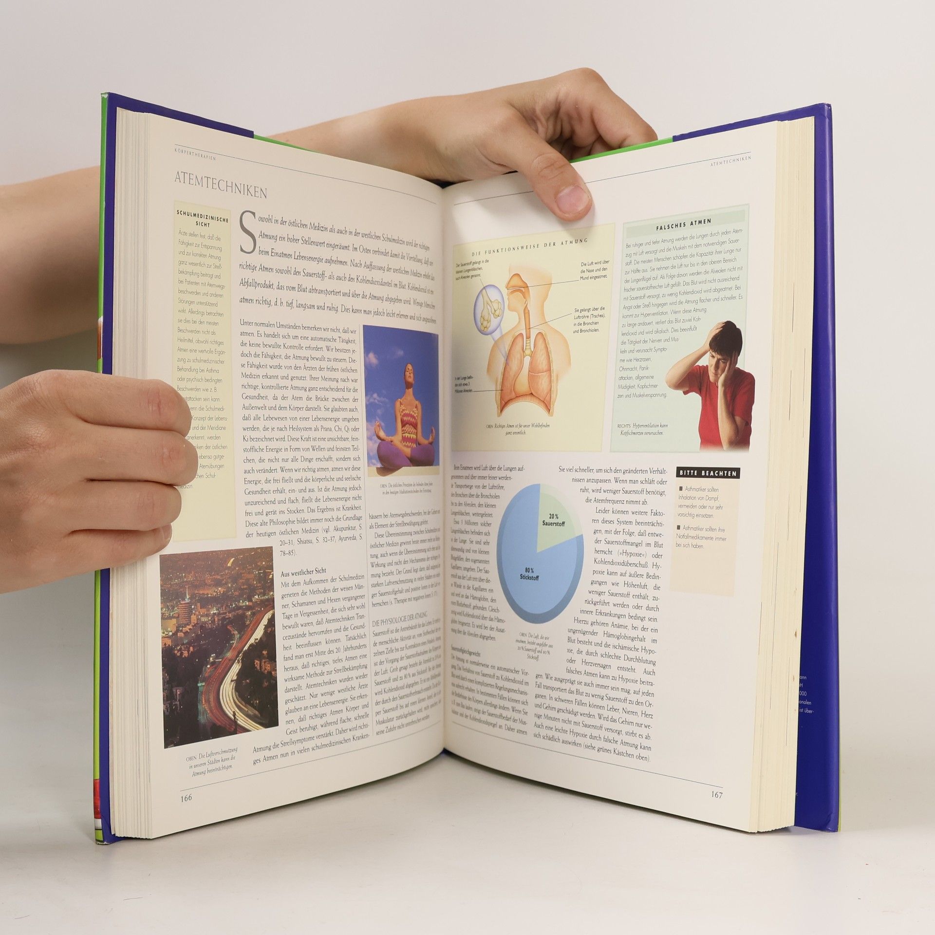 Clyde Norman Shealy Das große Buch der alternativen Heilverfahren