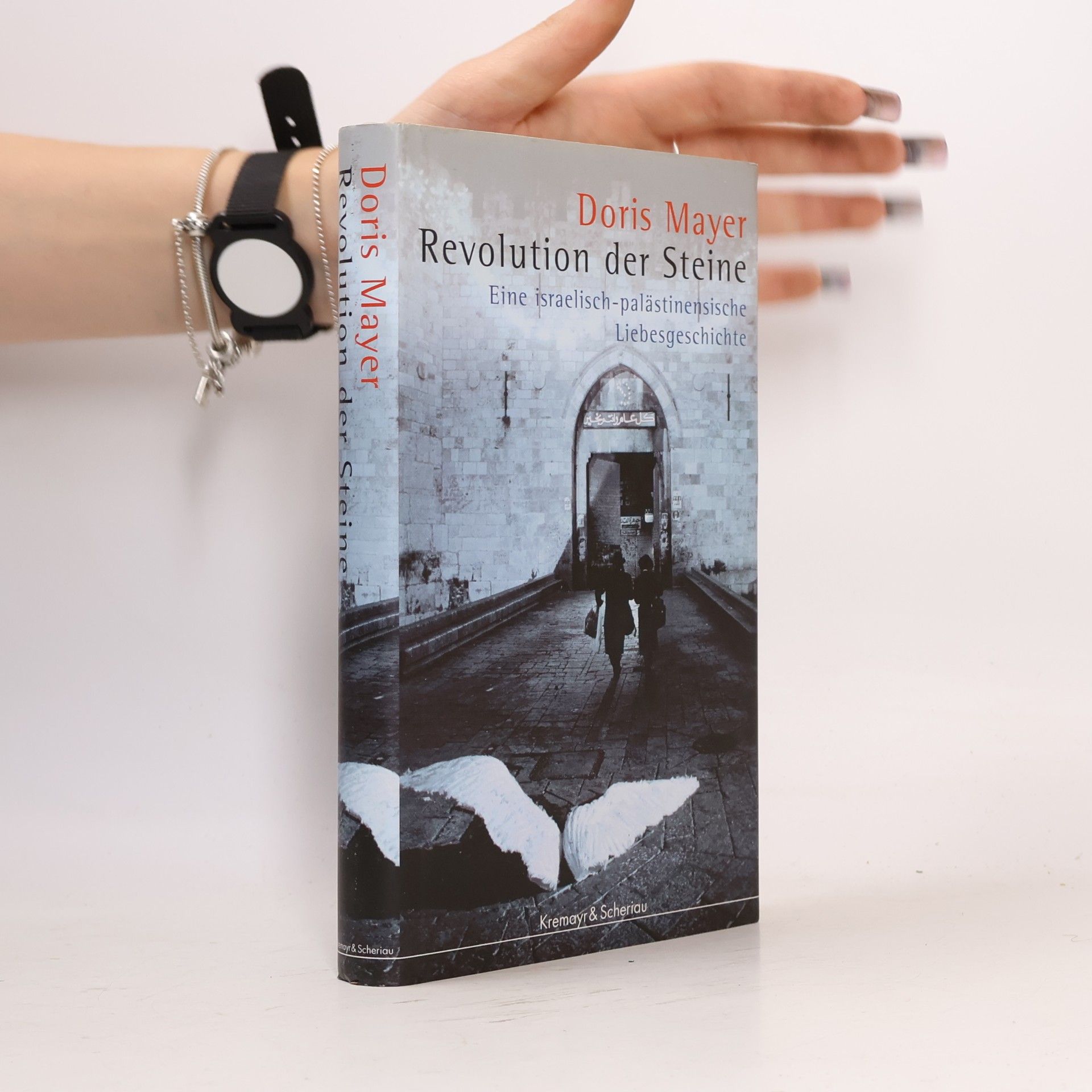 Doris Mayer Revolution der Steine