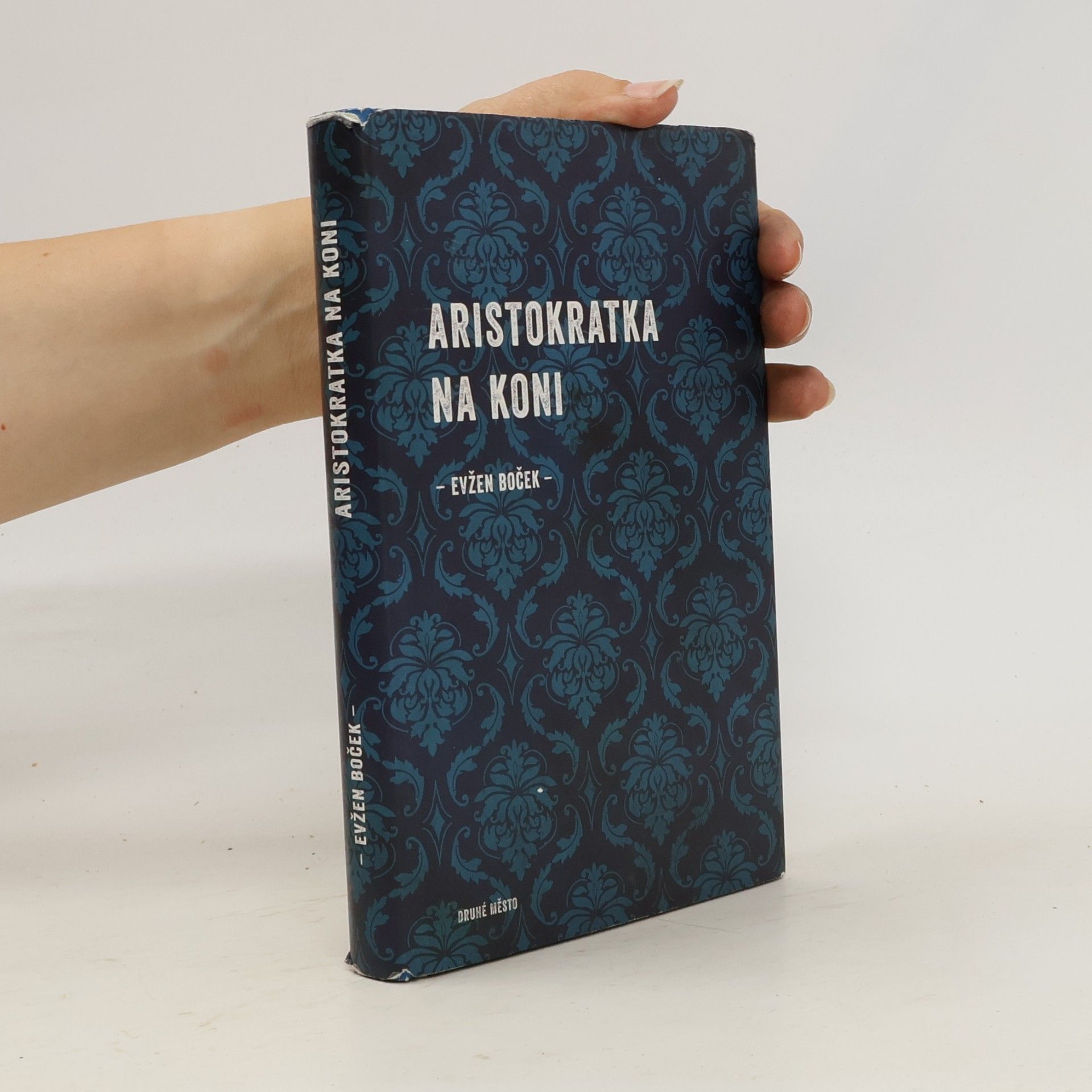 Evžen Boček Aristokratka na koni