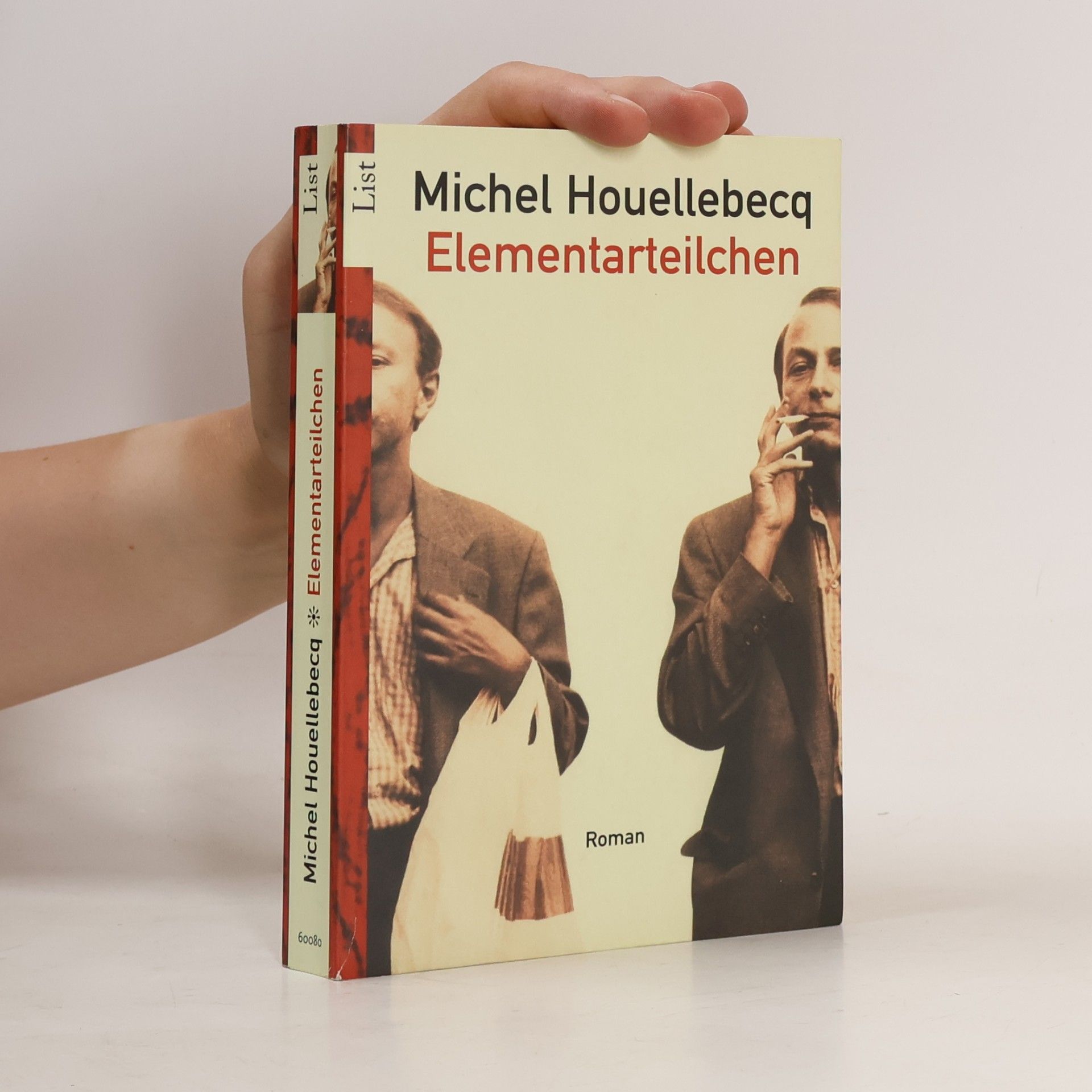 Michel Houellebecq Elementarteilchen