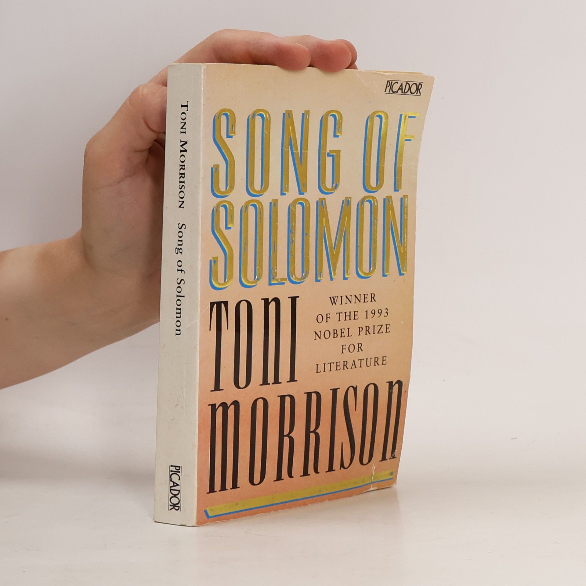 Toni Morrison Song of Solomon