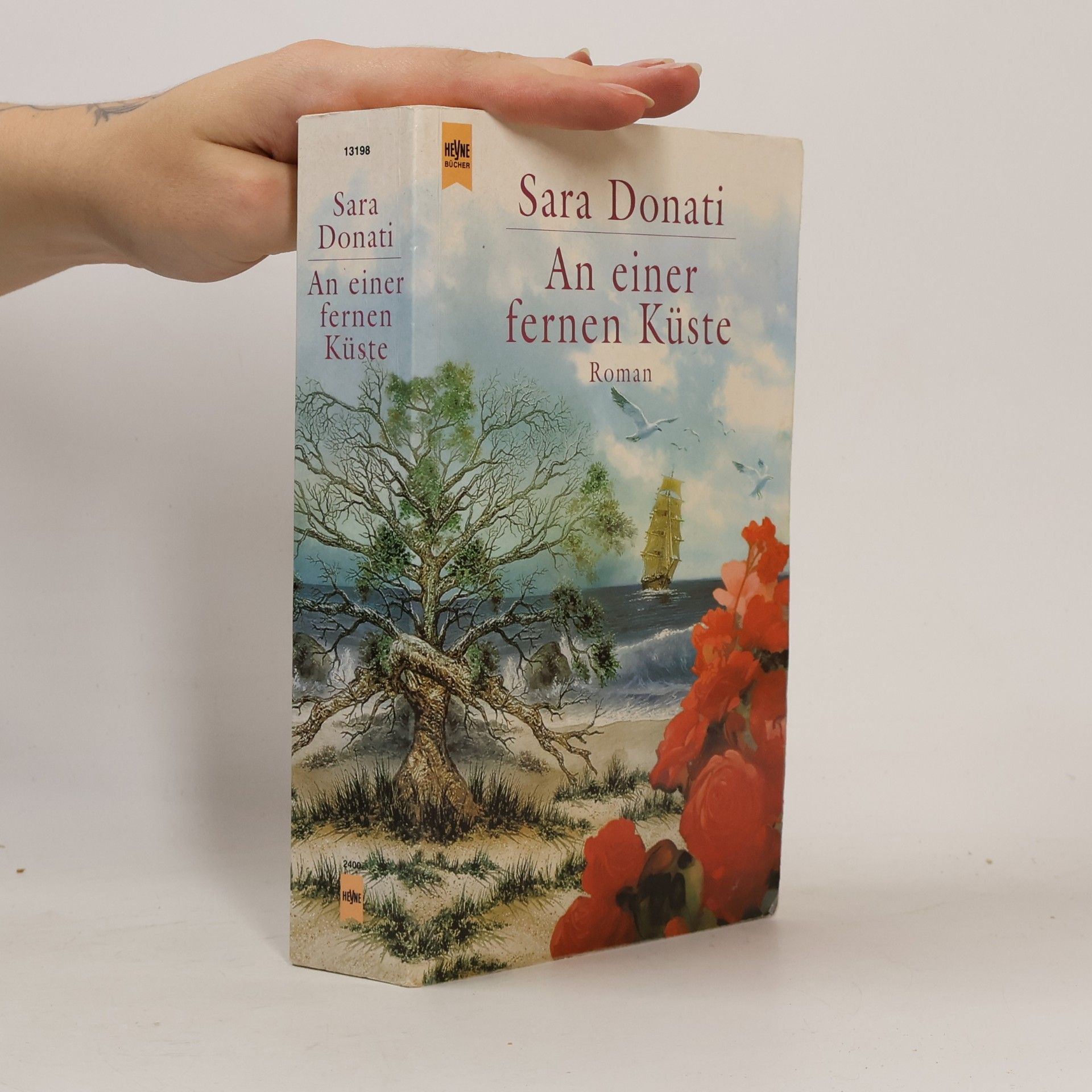 Sara Donati An einer fernen Küste