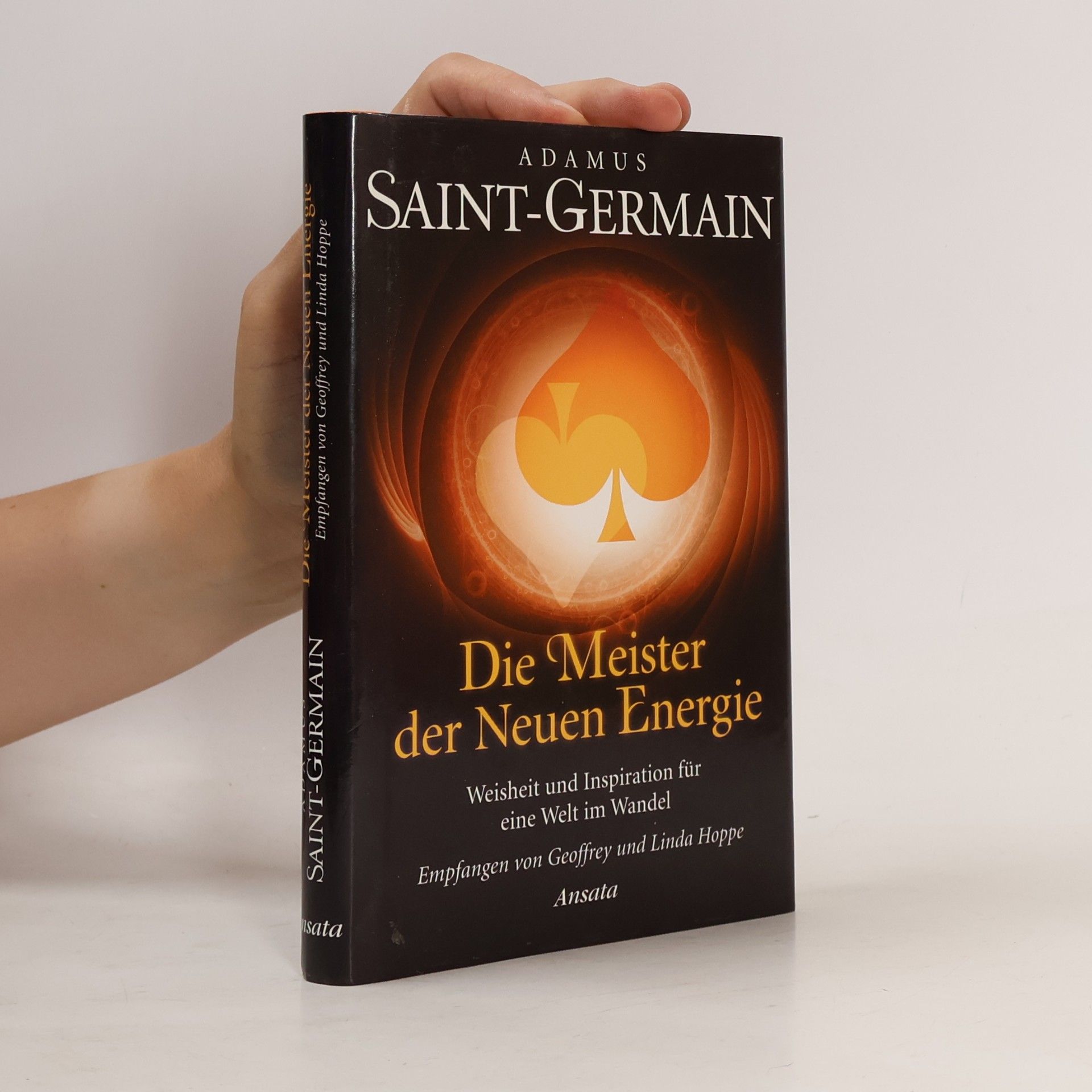 Geoffrey Hoppe Die Meister der neuen Energie