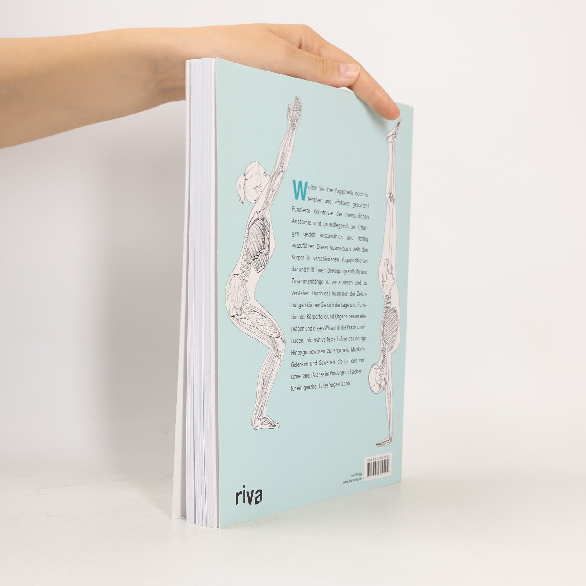 Samantha Stutzman Das Yoga-Anatomie-Malbuch