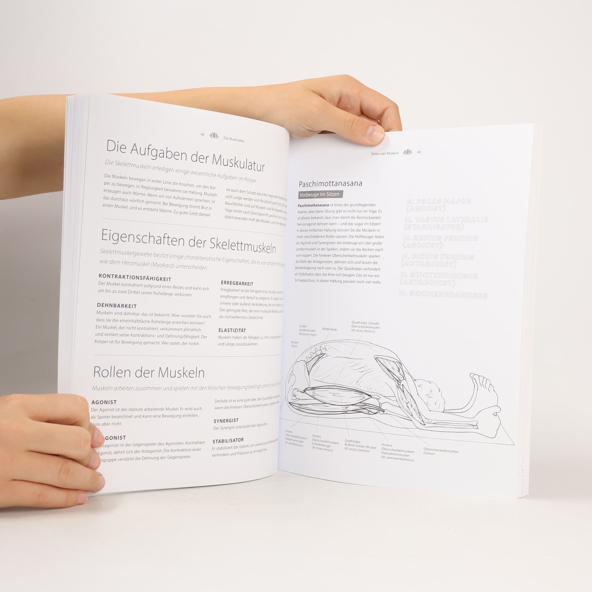 Samantha Stutzman Das Yoga-Anatomie-Malbuch