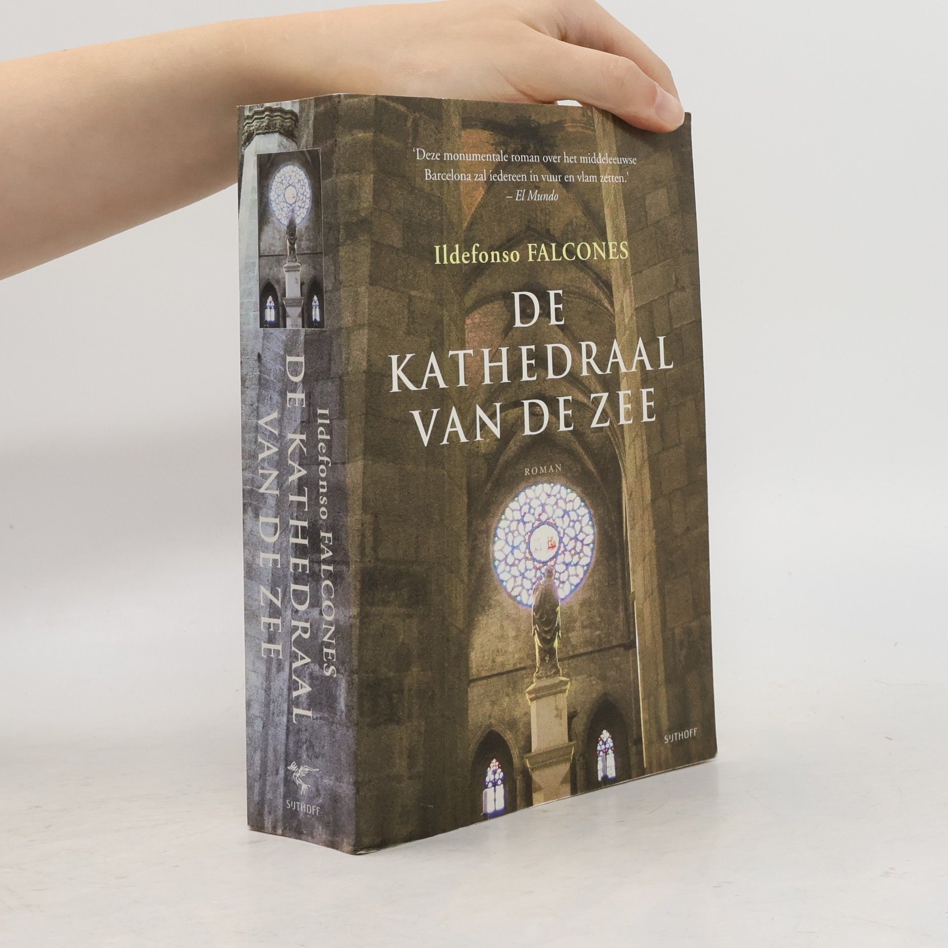 Ildefonso Falcones De kathedraal van de zee