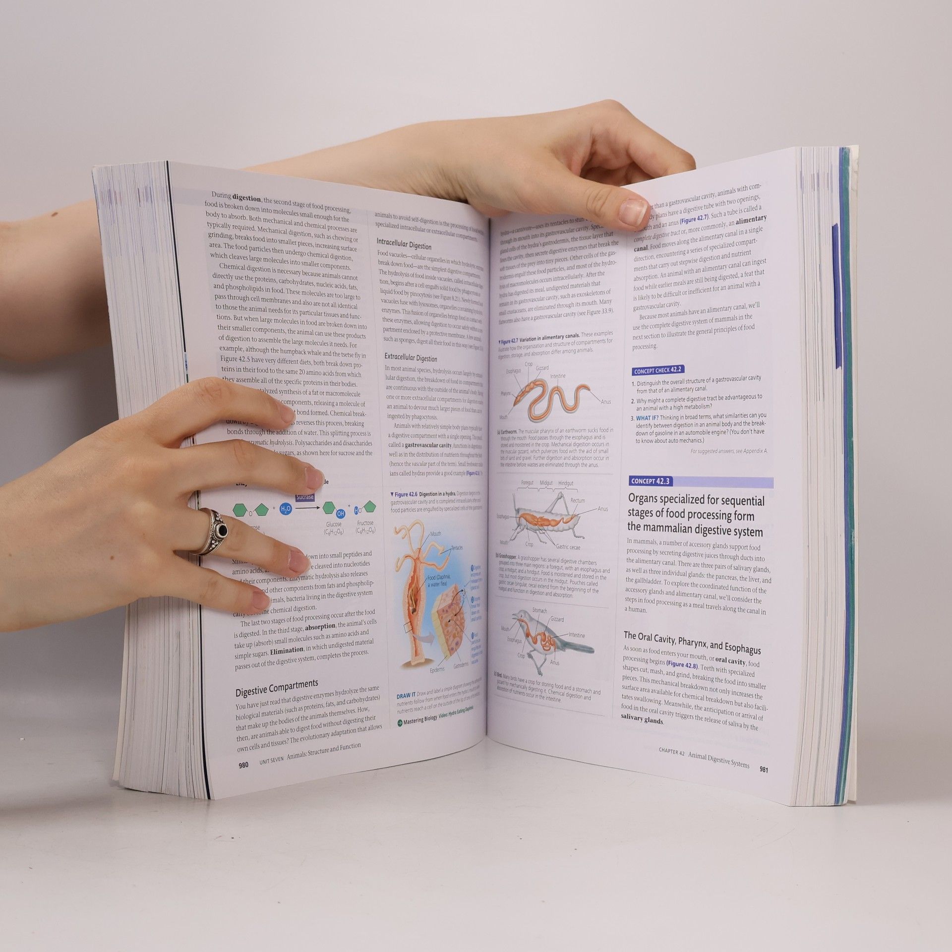 Autores varios Biology: A Global Approach, Global Edition