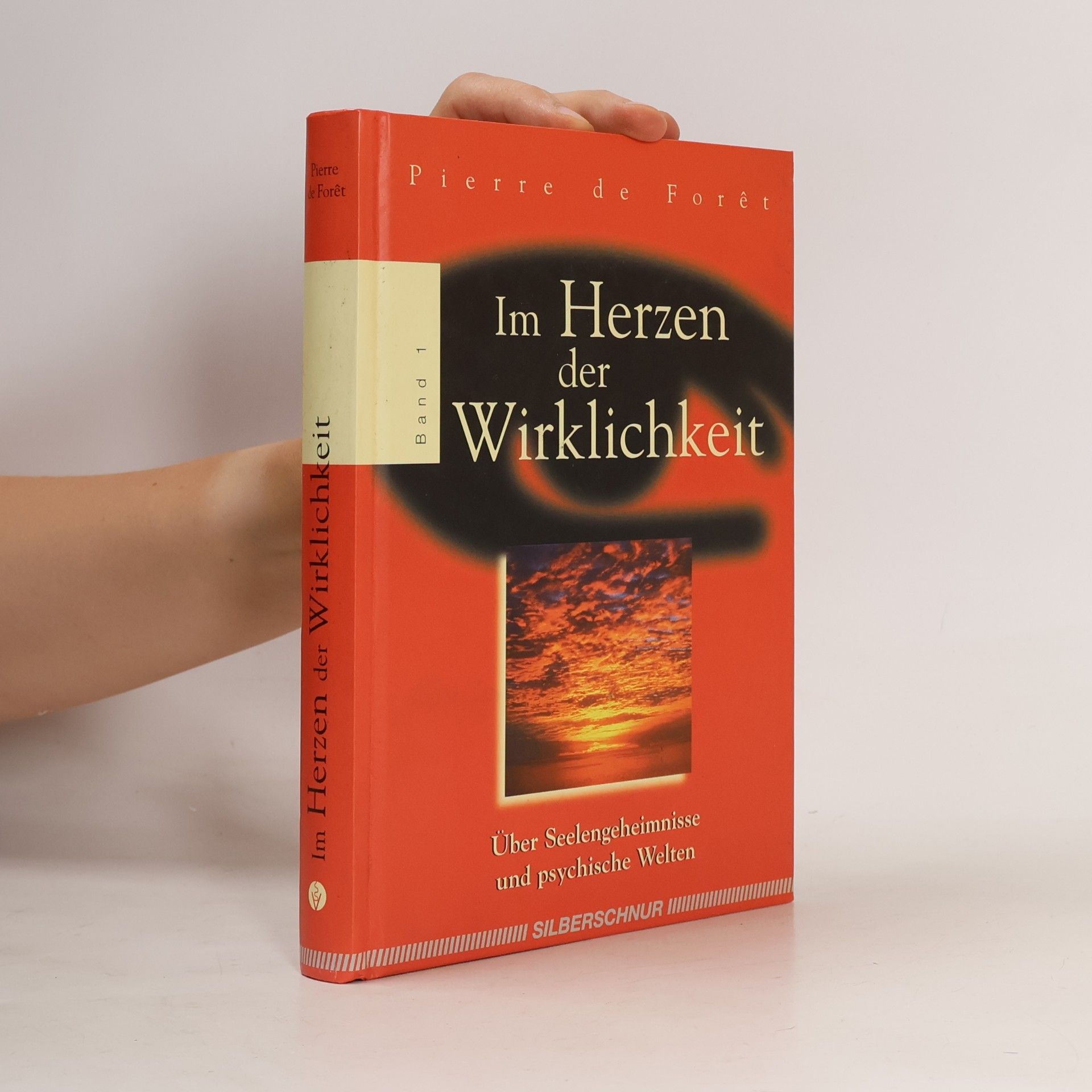 Kolektiv autorů Im Herzen der Wirklichkeit