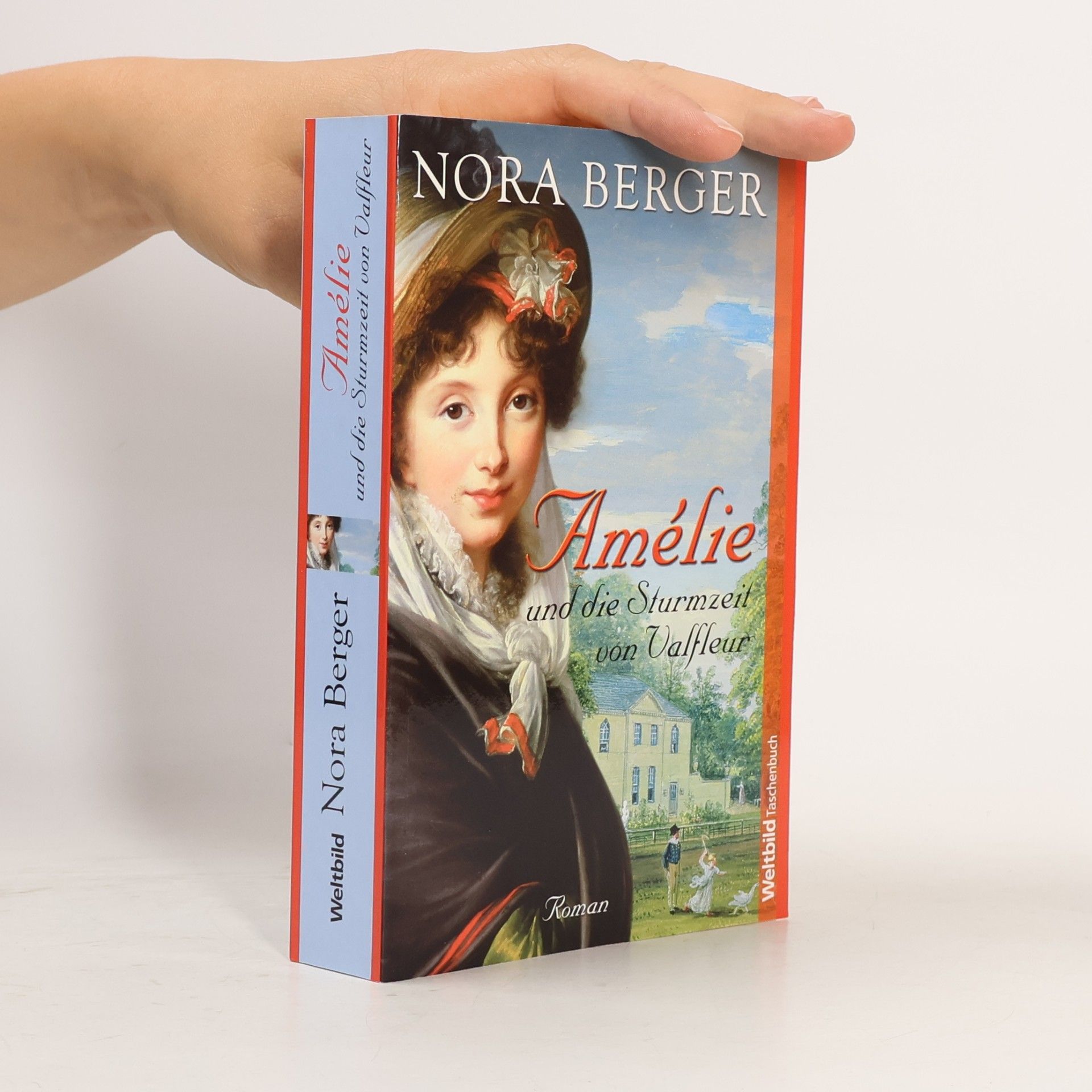 Nora Berger Amélie und die Sturmzeit von Valfleur