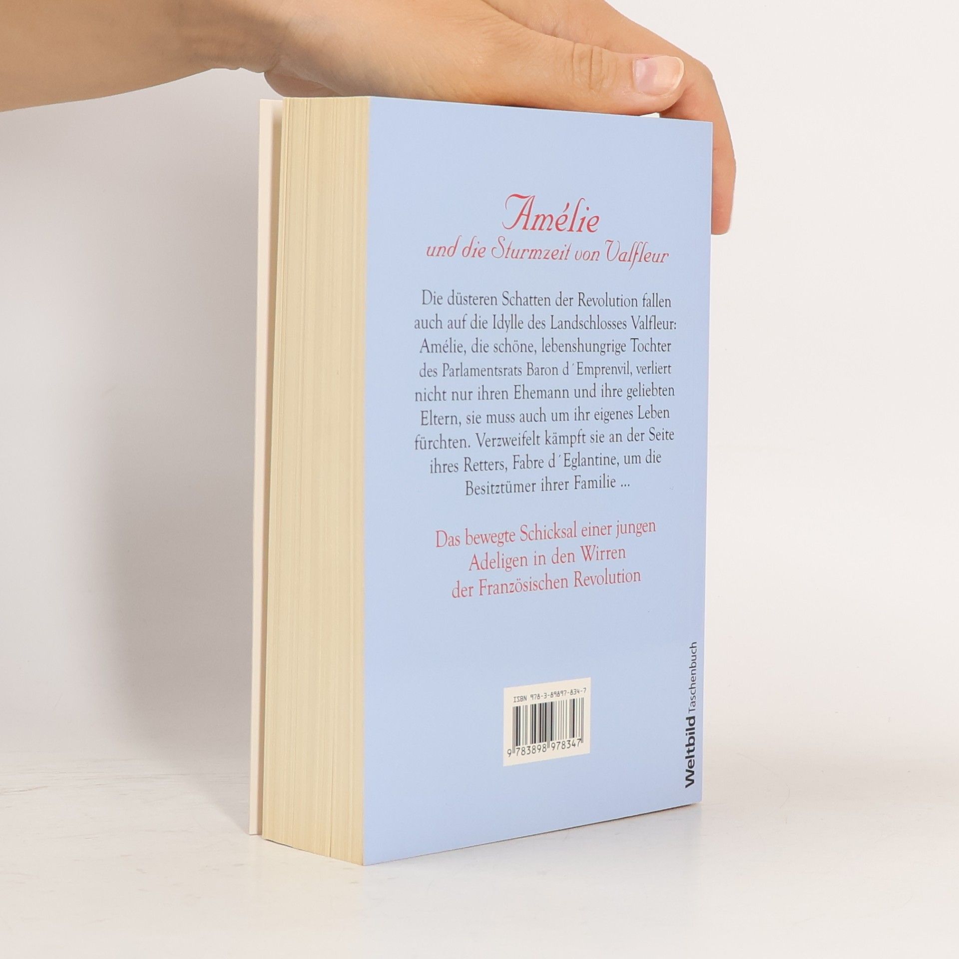 Nora Berger Amélie und die Sturmzeit von Valfleur