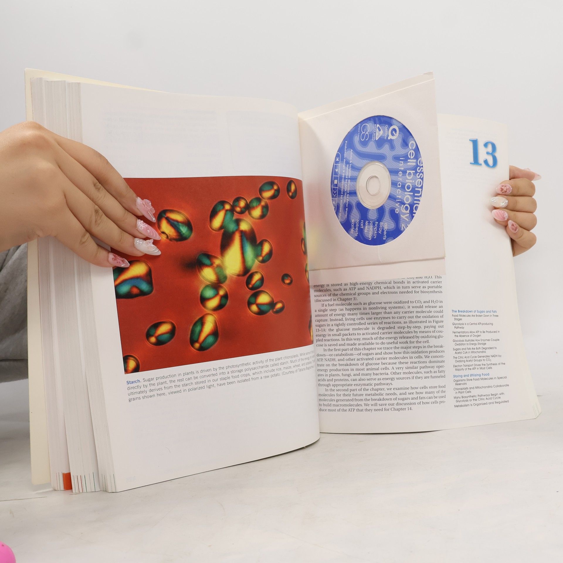 Bruce Alberts Essential Cell Biology