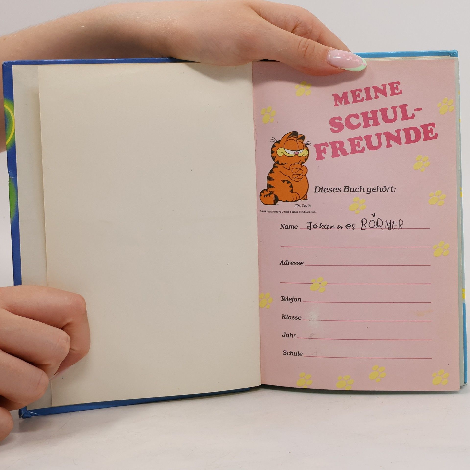Jim Davis Meine Schulfreunde