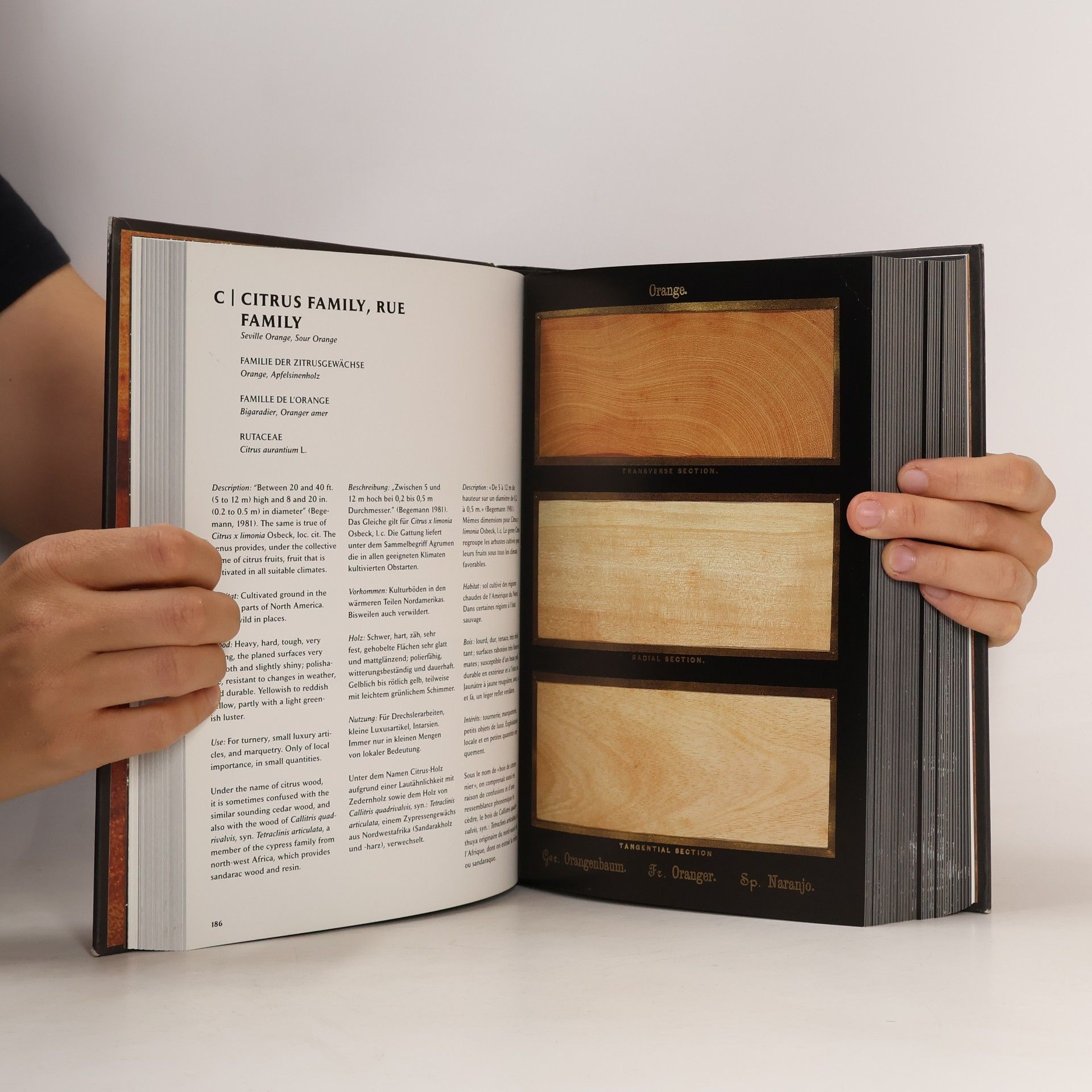 Andrew McRobb The Woodbook