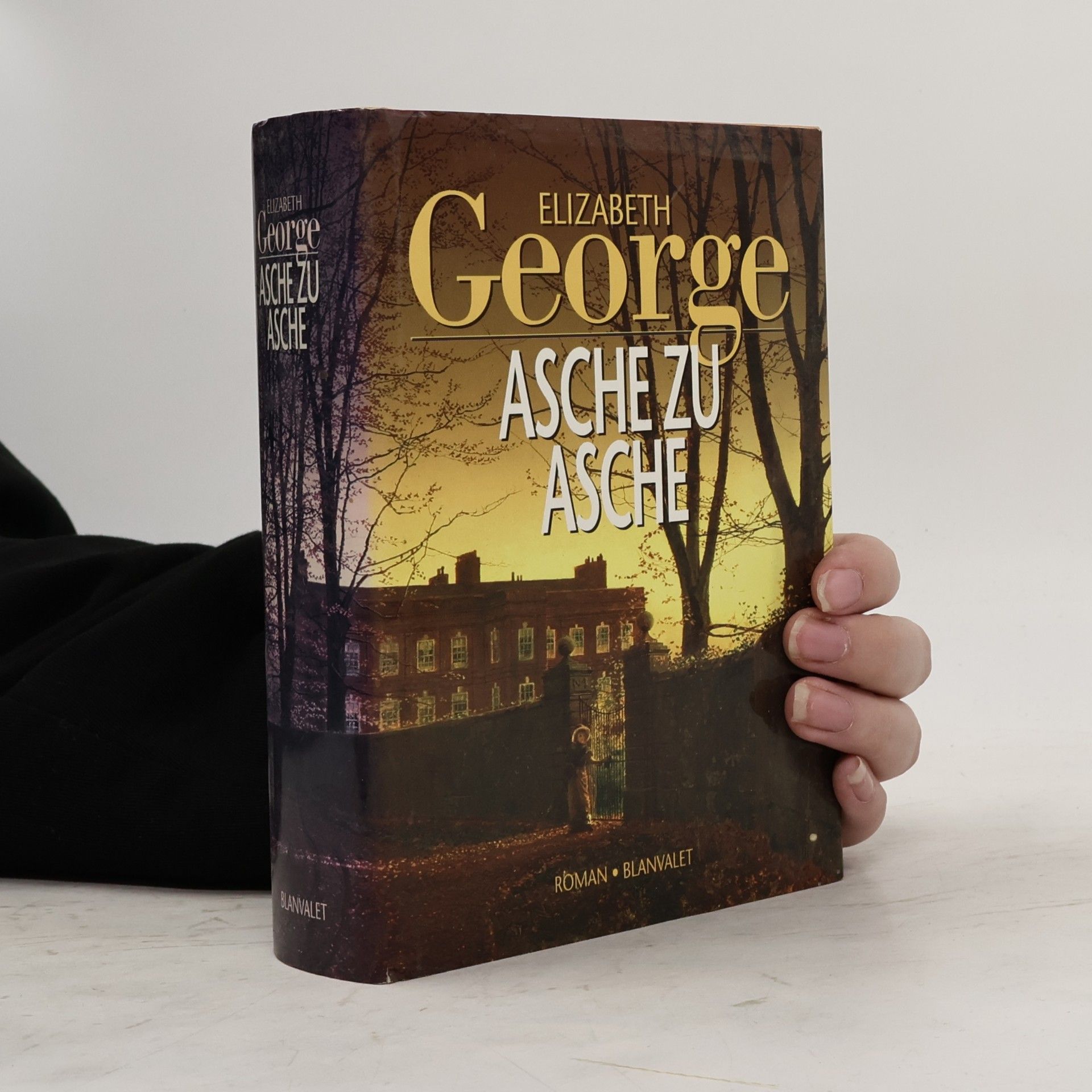 Elizabeth George Asche zu Asche