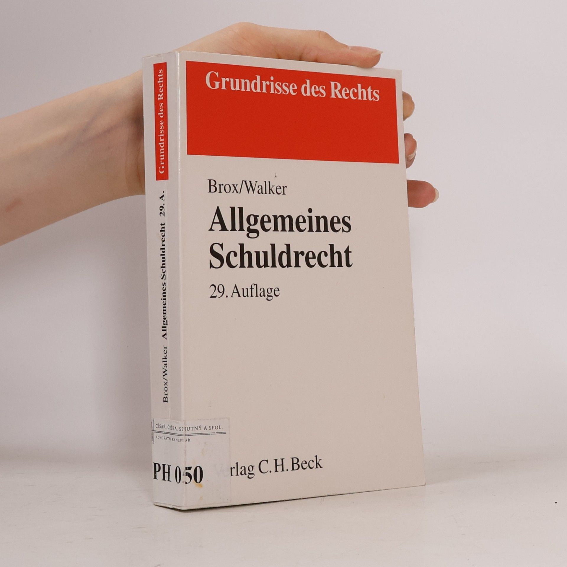 Grundrisse des Rechts: Allgemeines Schuldrecht - 29. Auflage