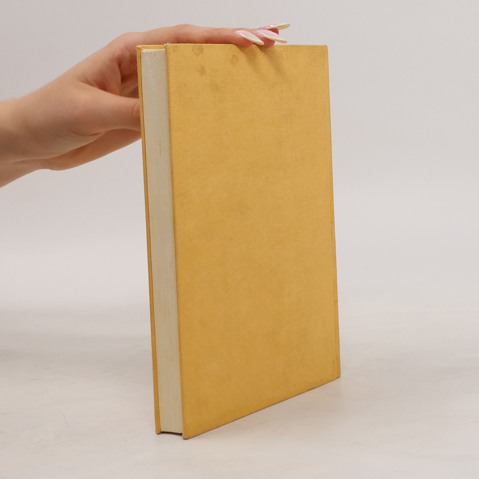 Enid Blyton Geheimnis um einen roten Schuh