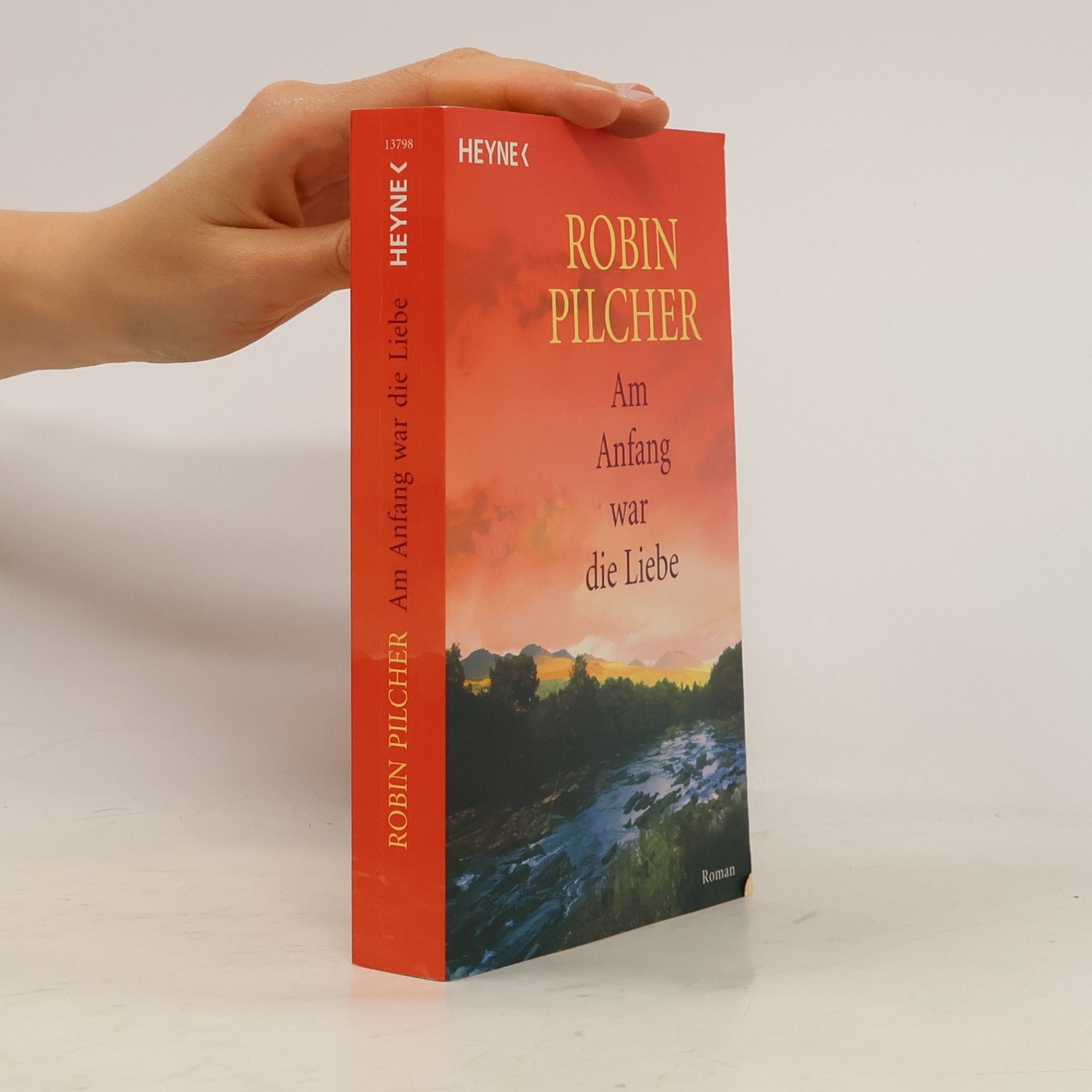 Robin Pilcher Am Anfang war die Liebe