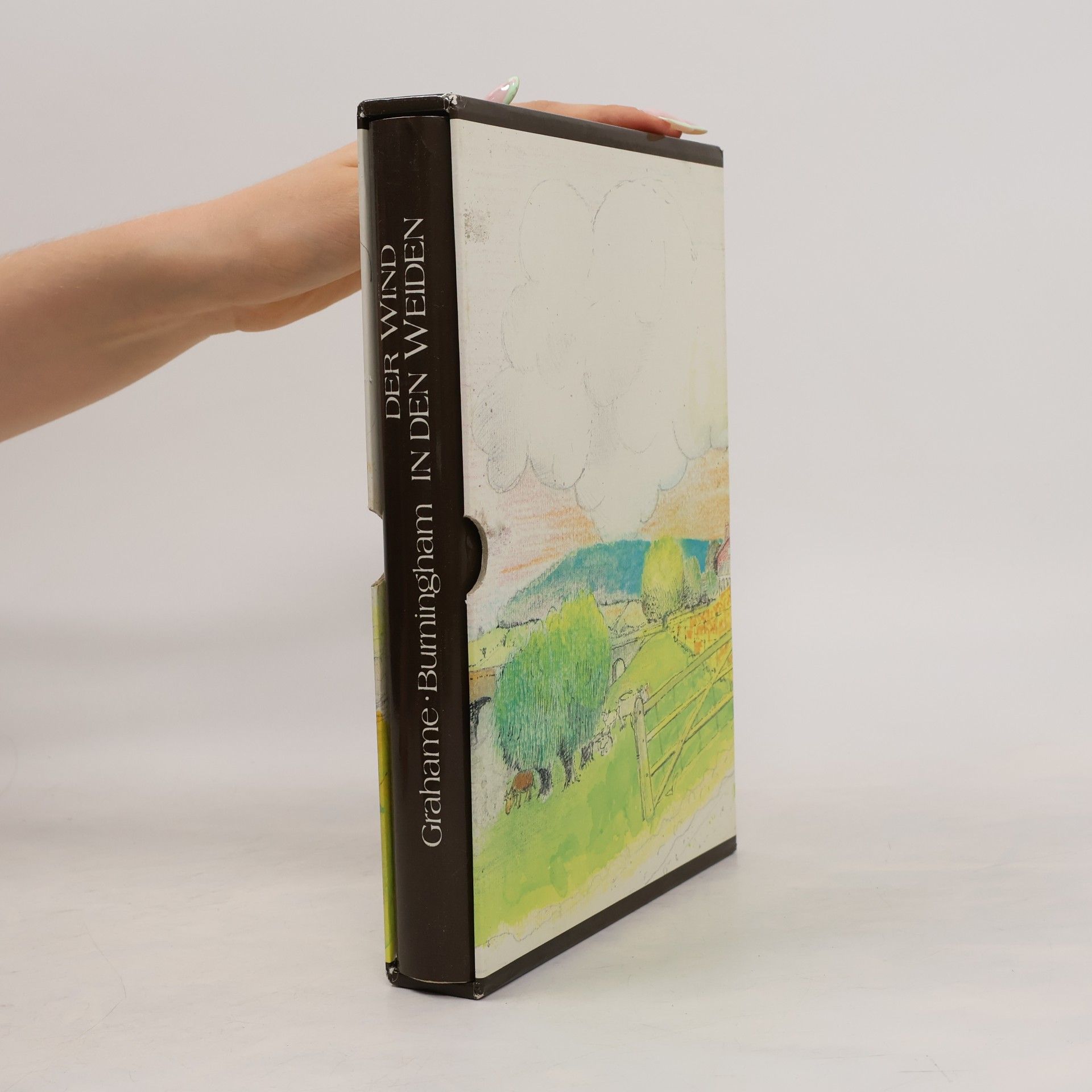 Kenneth Grahame Der Wind in den Weiden