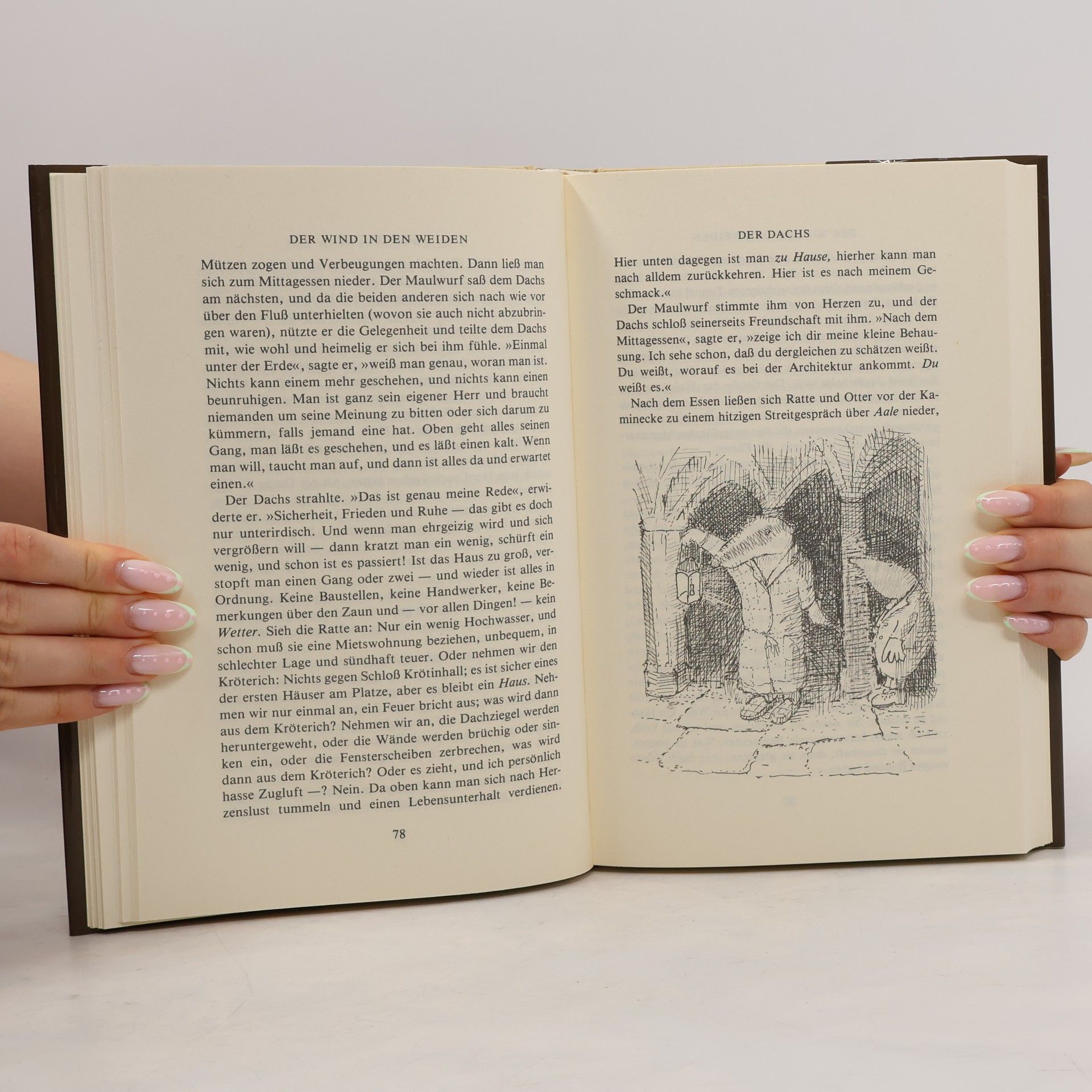 Kenneth Grahame Der Wind in den Weiden